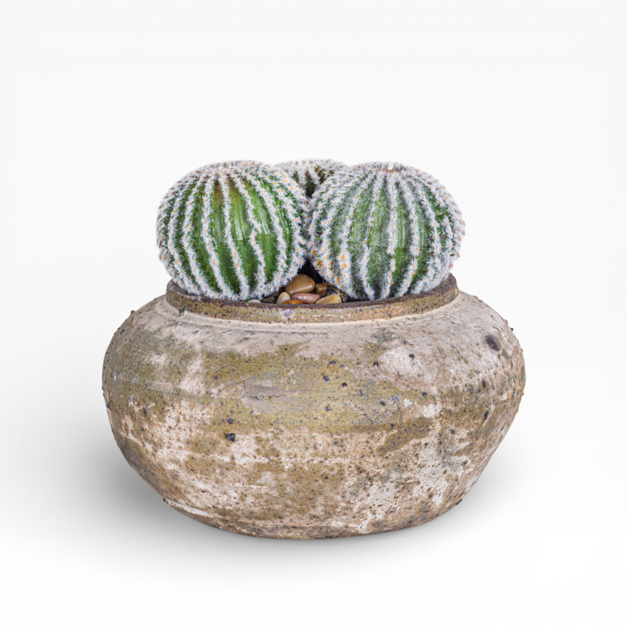 Esther Pot with Cactus Arrangement AR1405