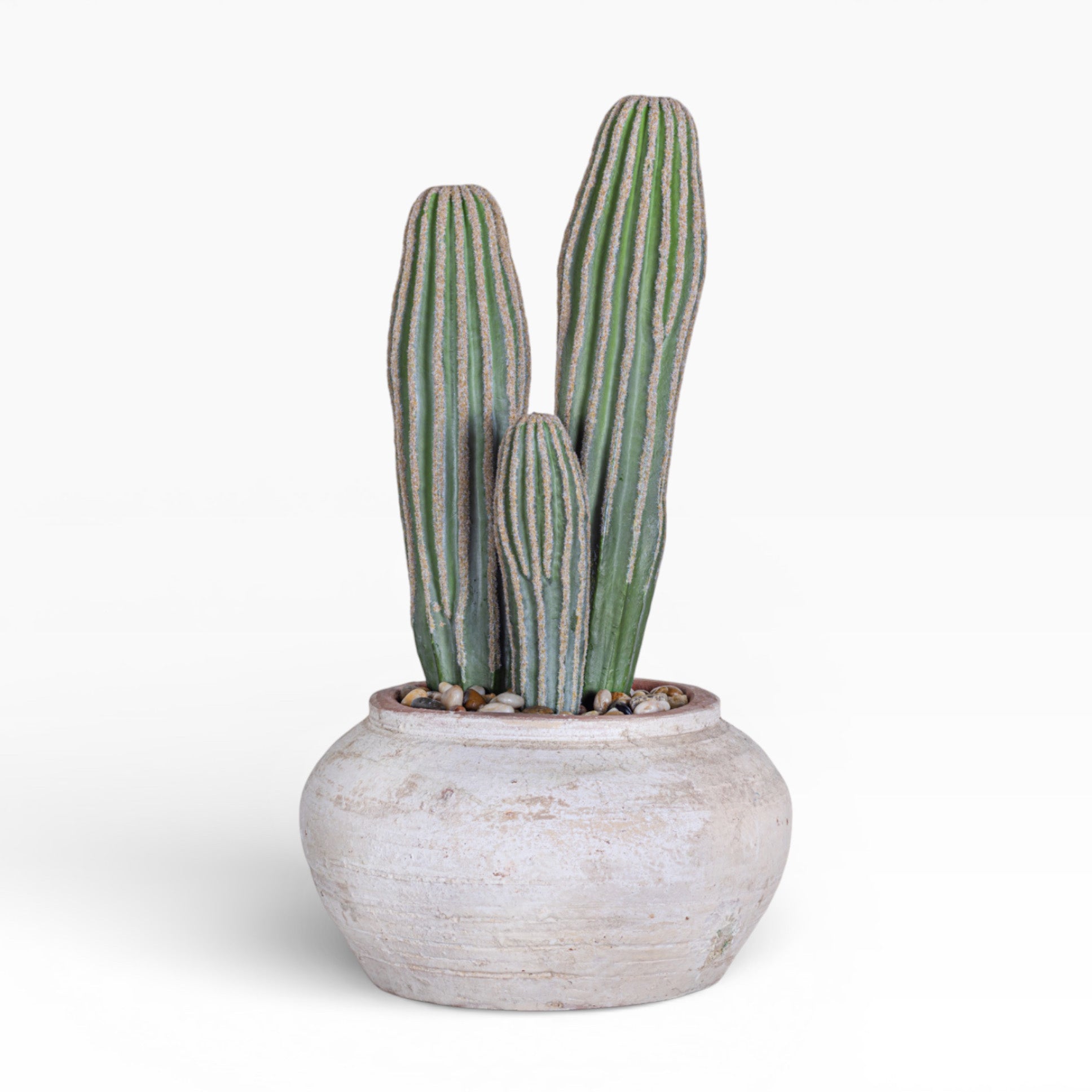 Esther Pot with Cactus Arrangement AR1389