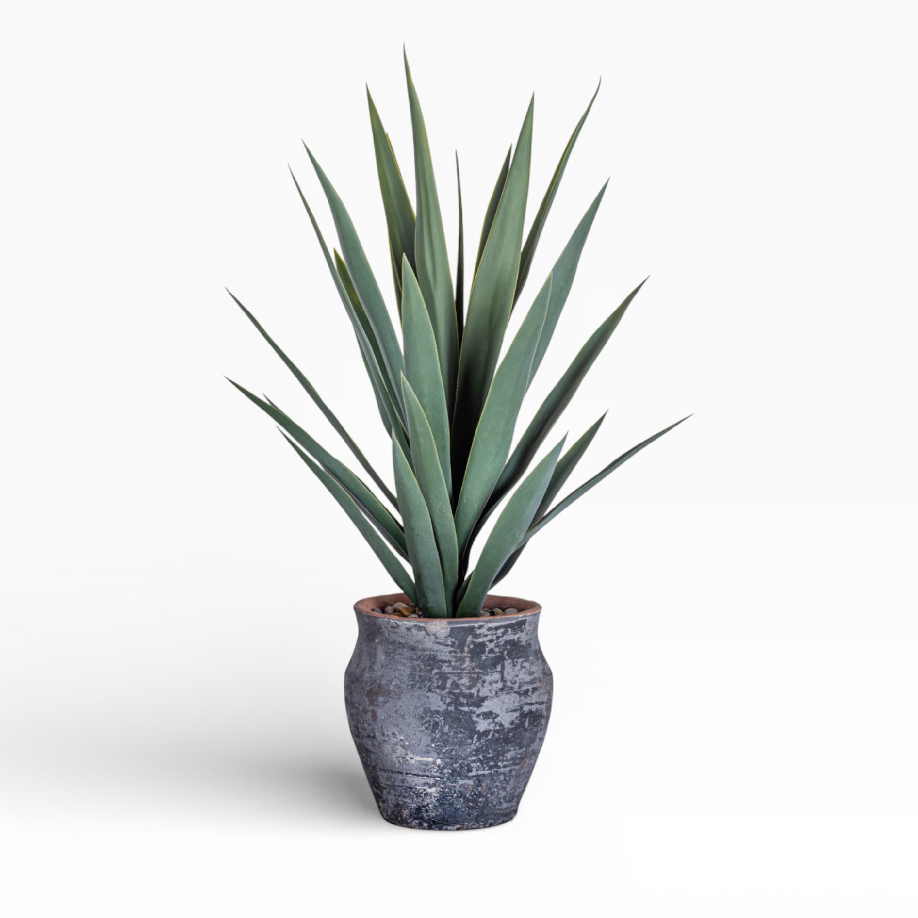 8" Titan Pot with Yucca Arrangement AR1400
