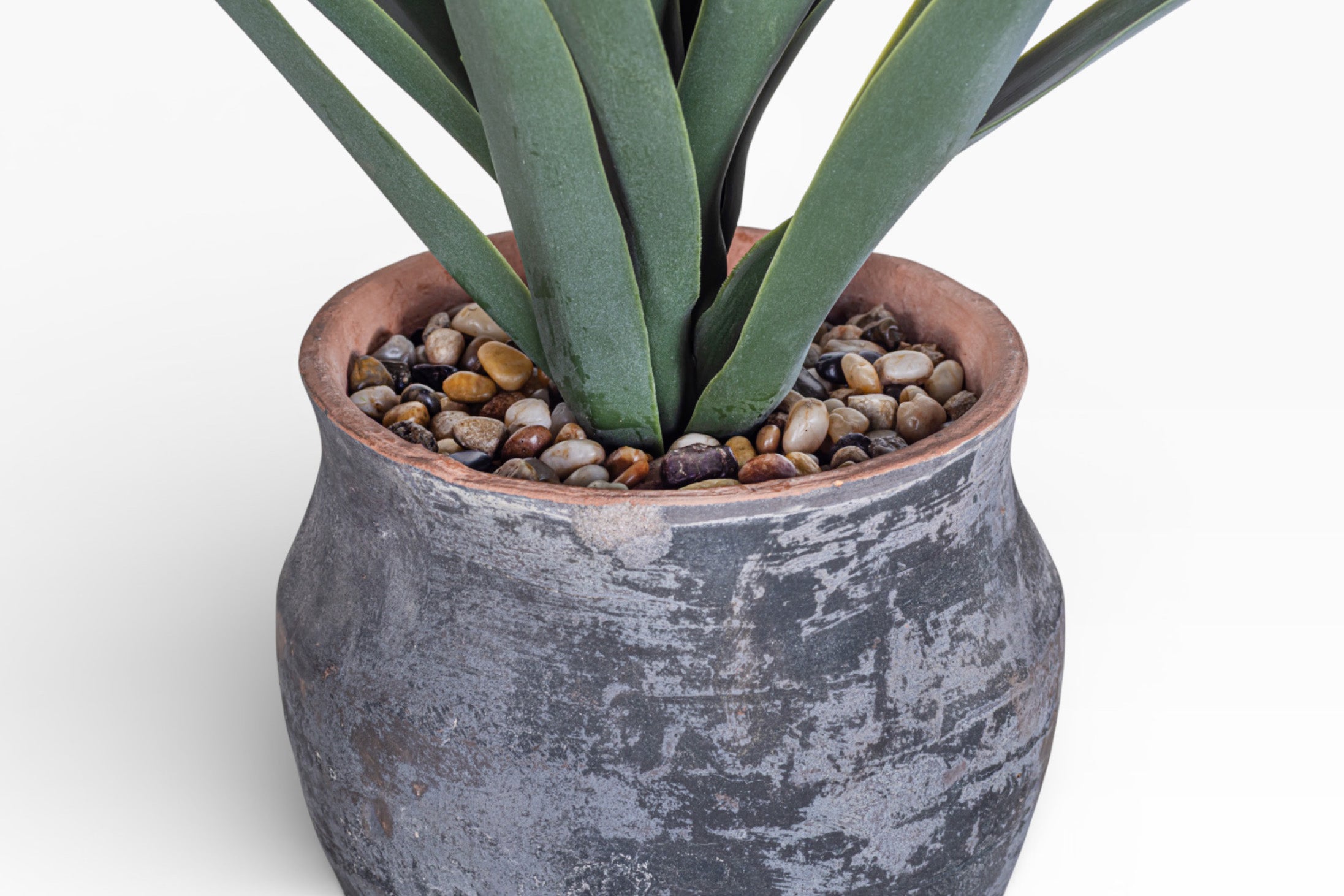 8" Titan Pot with Yucca Arrangement AR1400