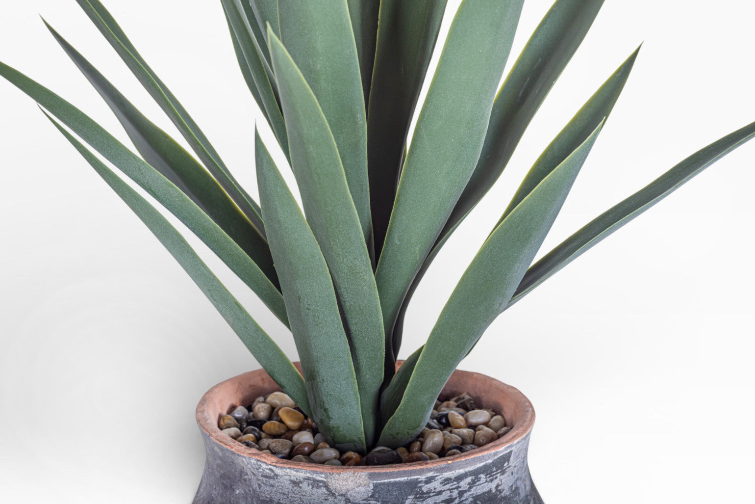 8" Titan Pot with Yucca Arrangement AR1400