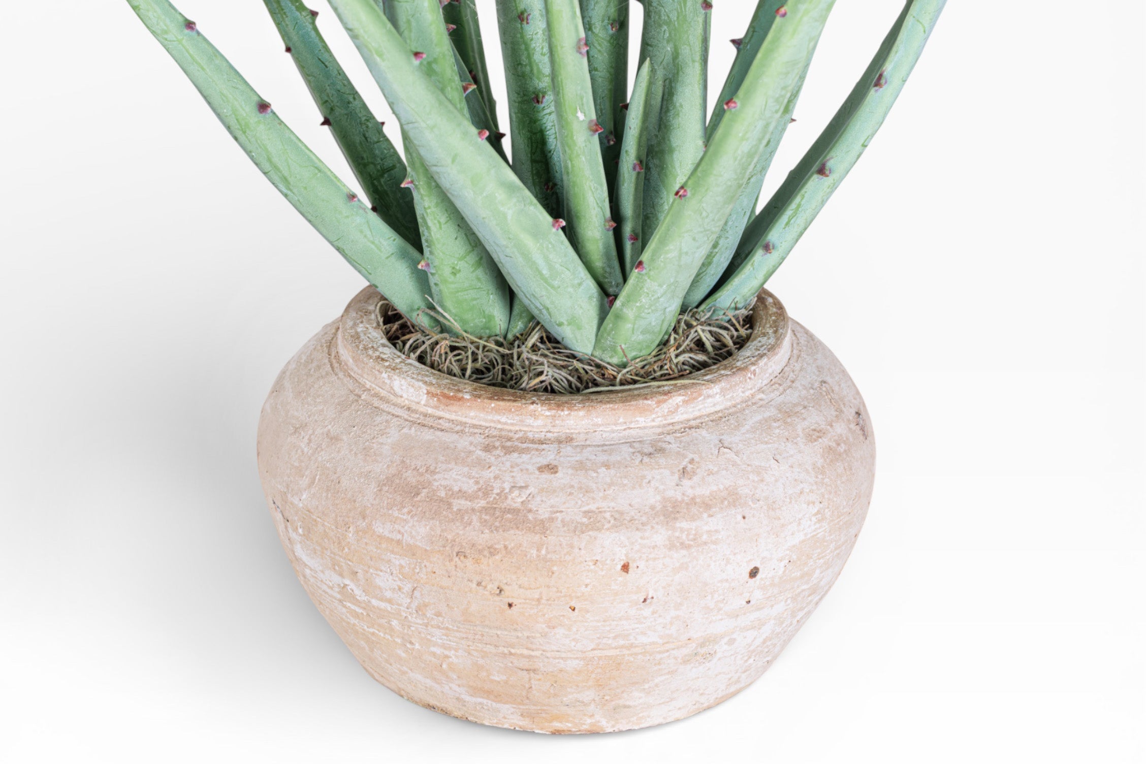 Esther Pot with Aloe Arrangement AR1895