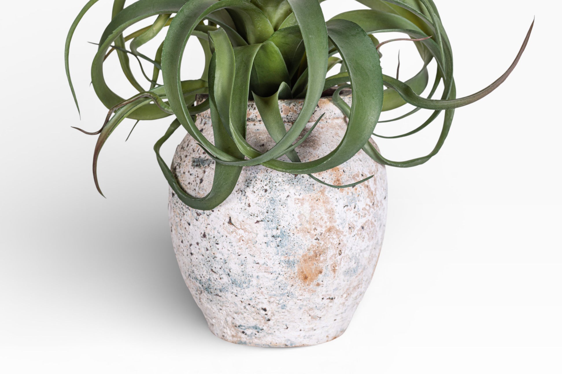 Lyric Pot with Airplant Arrangement AR1395