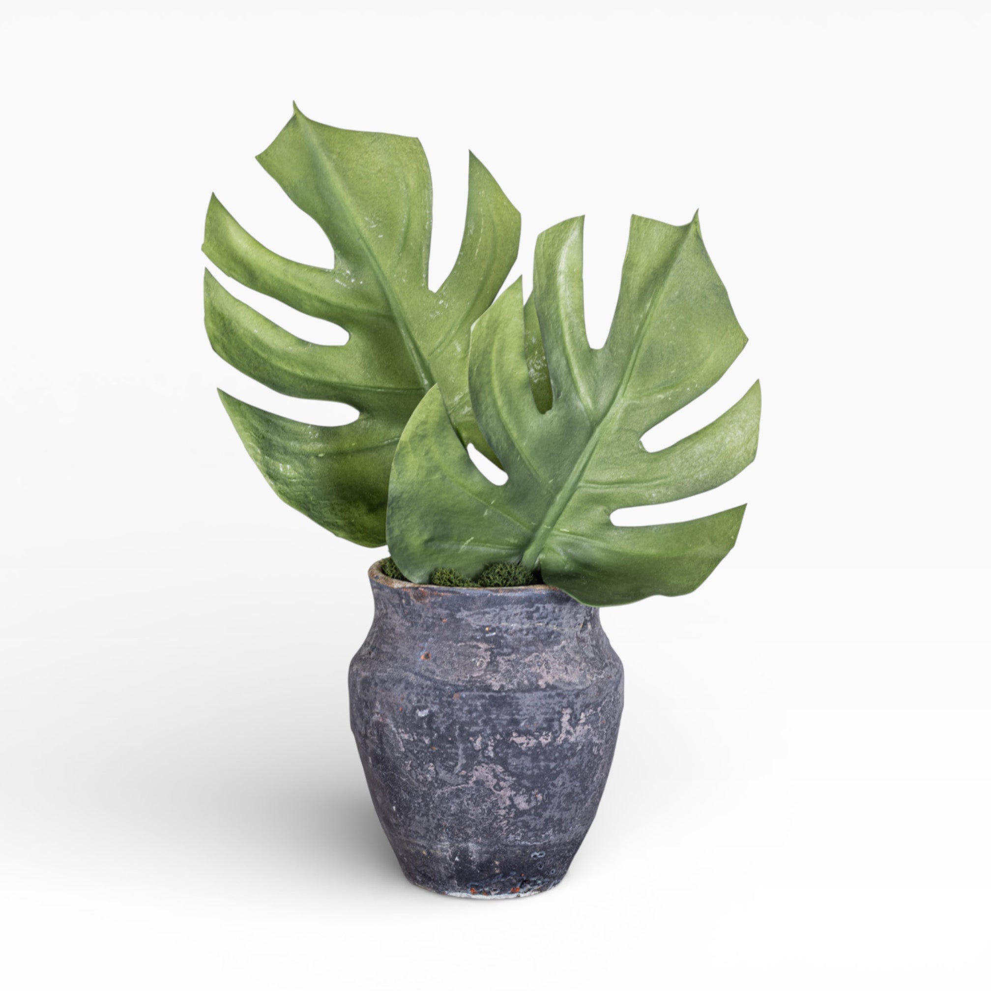 6" Titan Pot with Palm Arrangement AR1377