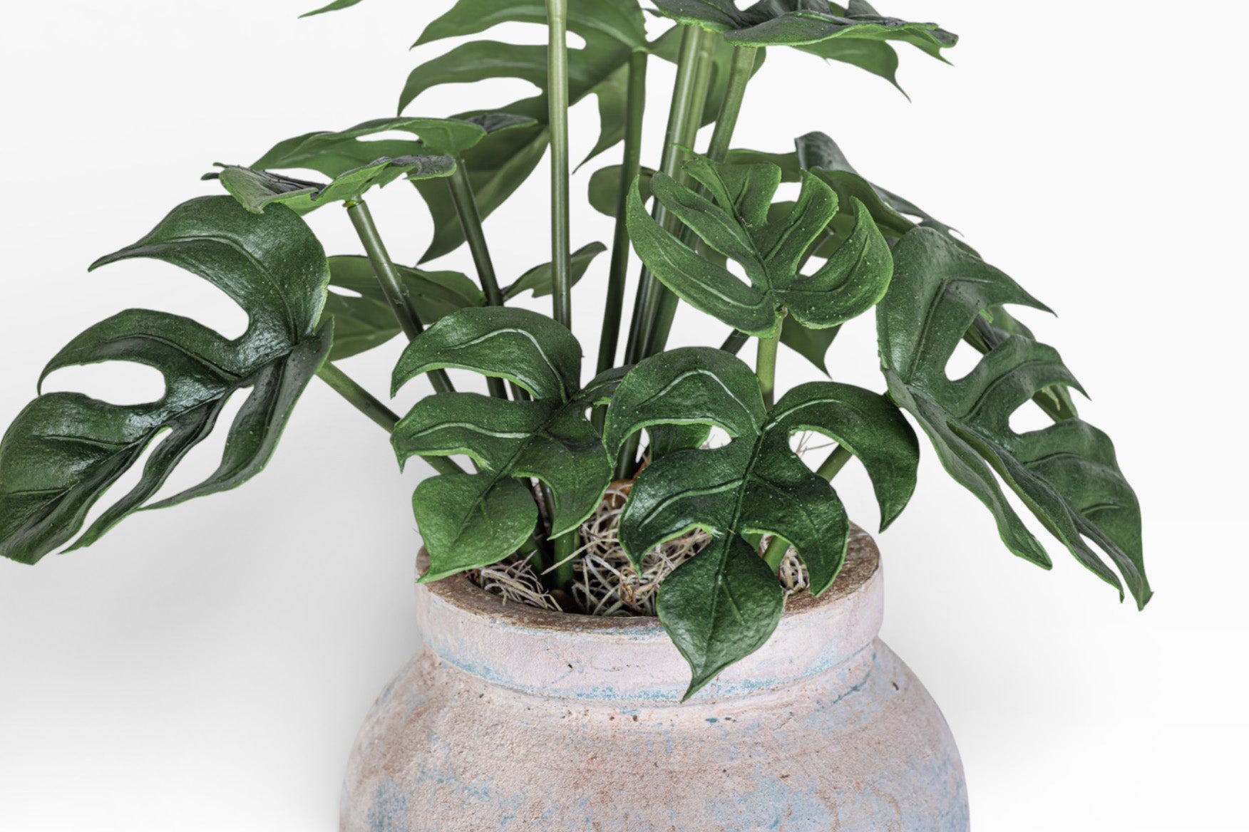 Lyric Pot with Monstera Arrangement AR1376