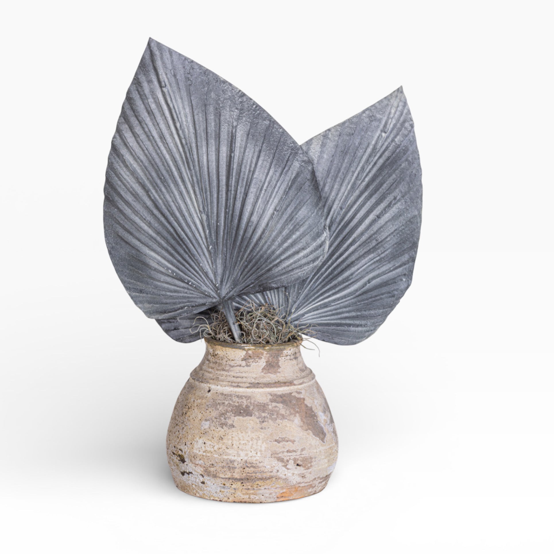 Aster Pot with Palm Frond Arrangement AR1371