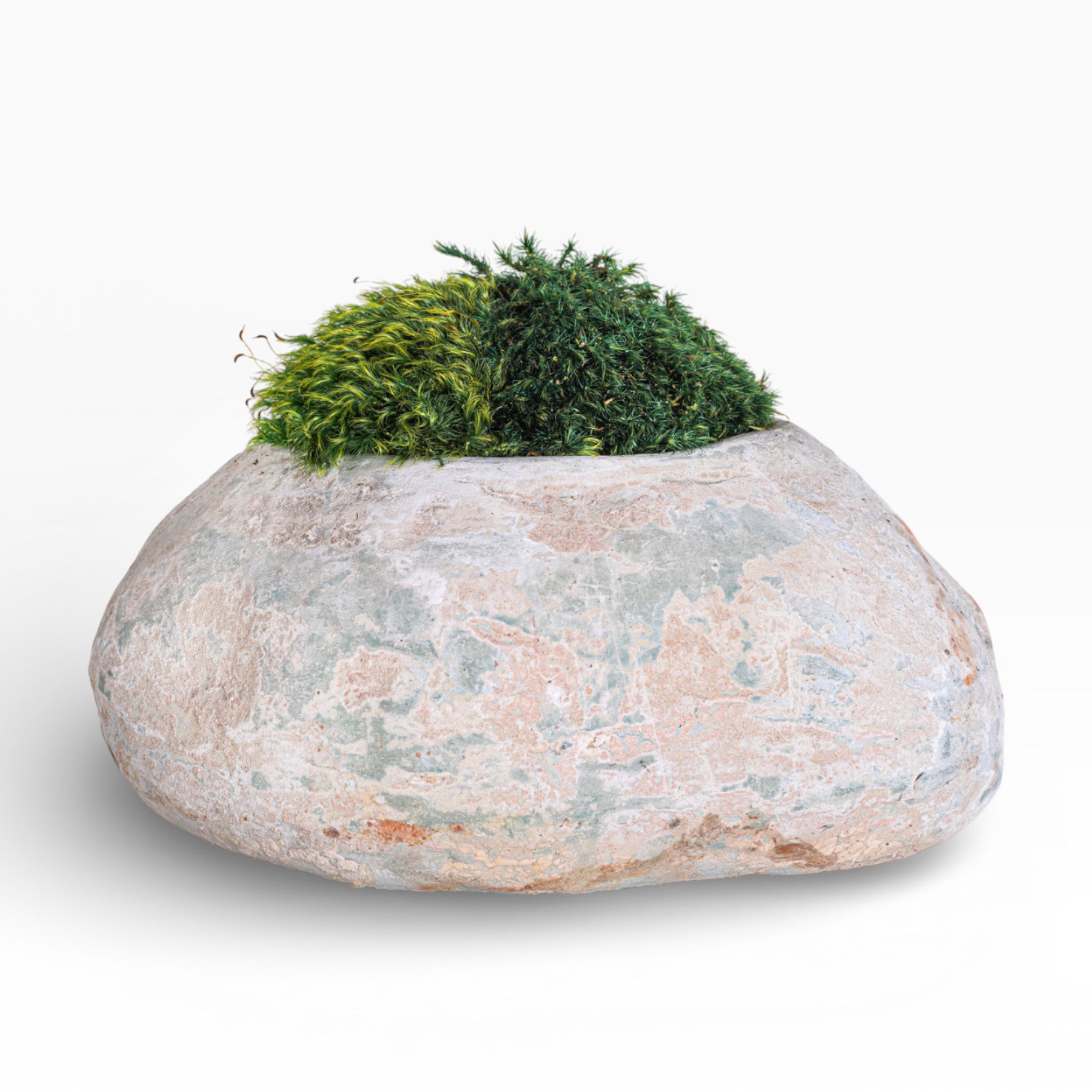 12" Skye Pot with Mood Moss Arrangement AR1898