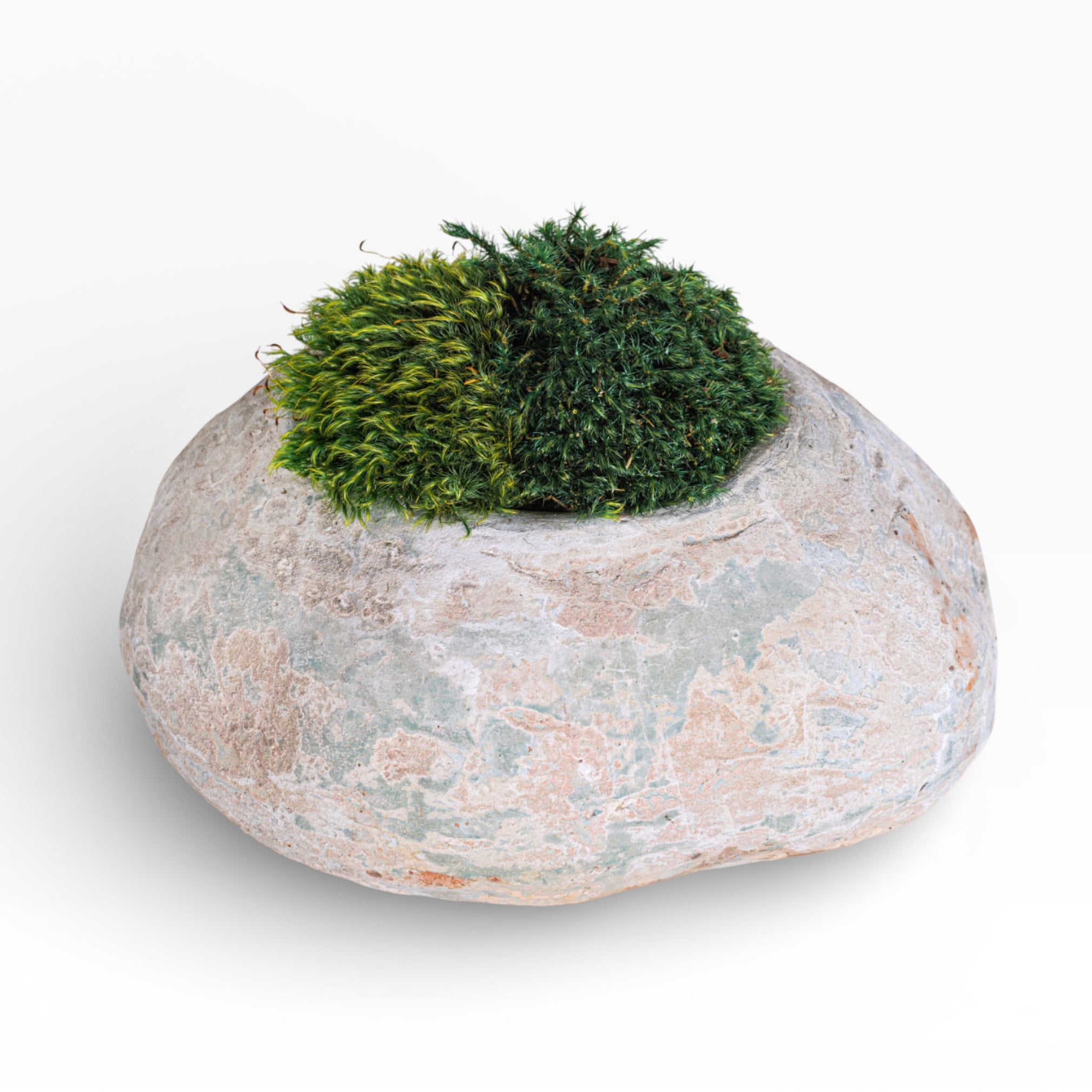 12" Skye Pot with Mood Moss Arrangement AR1898
