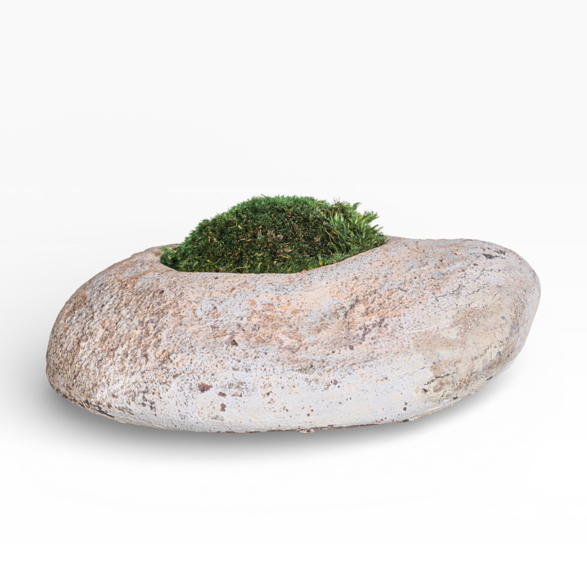 10" Skye Pot with Mood Moss AR1897