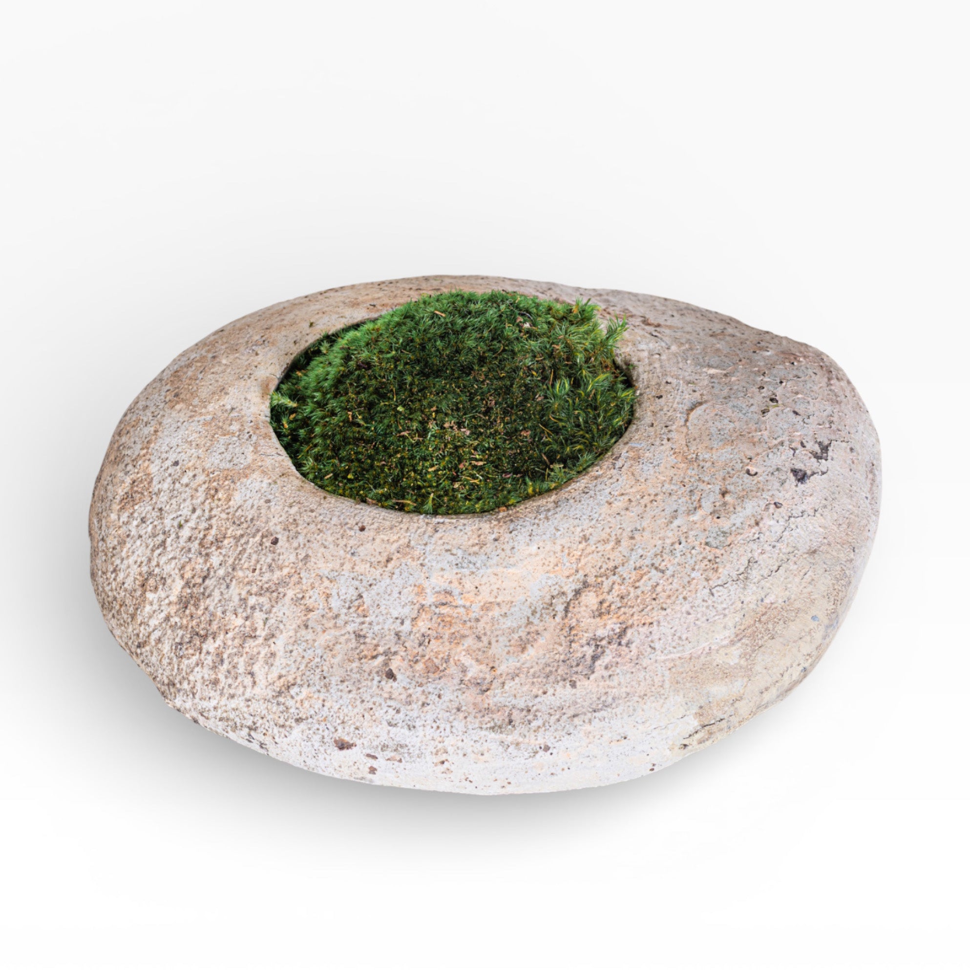 10" Skye Pot with Mood Moss AR1897