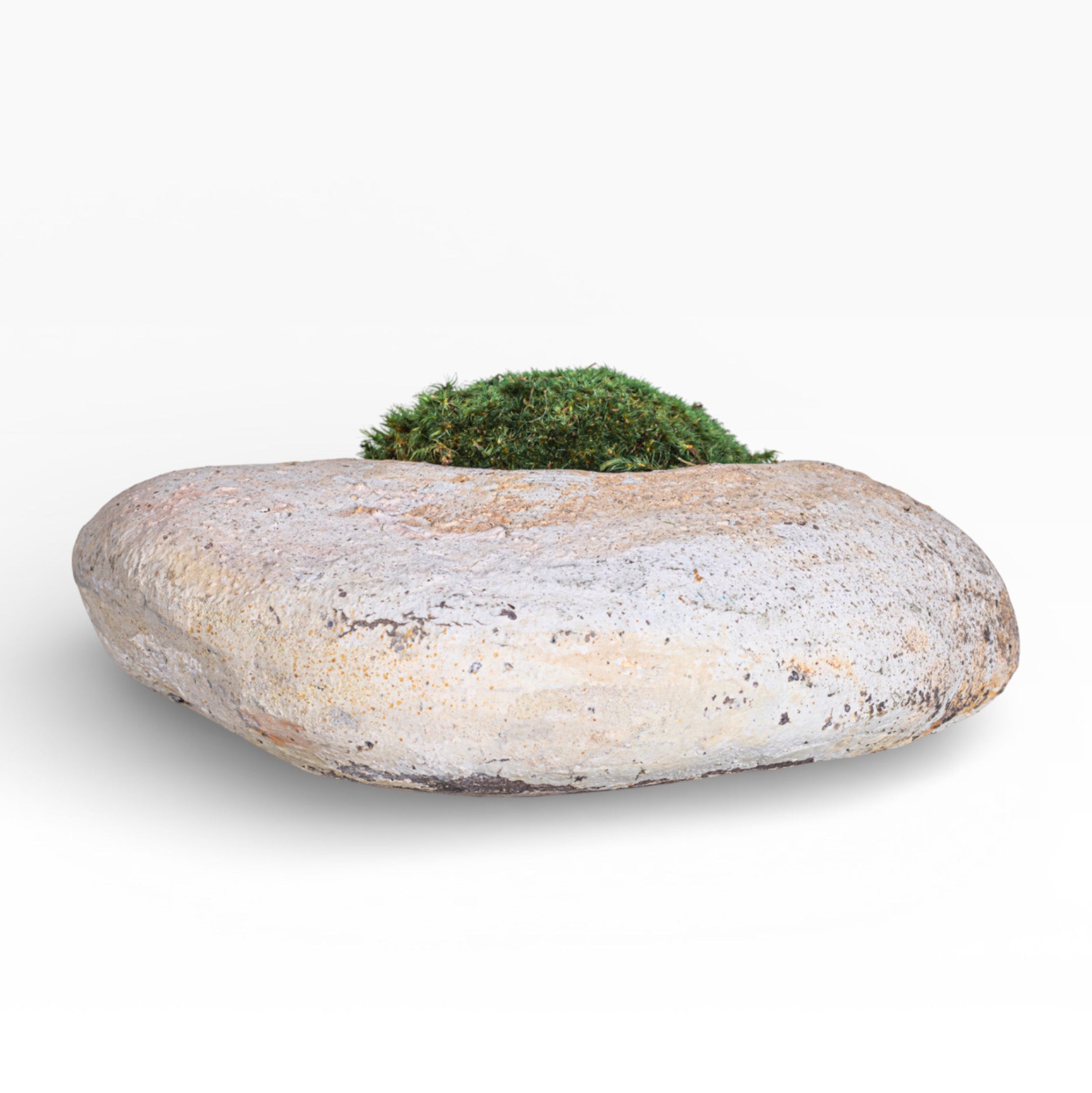 10" Skye Pot with Mood Moss AR1897