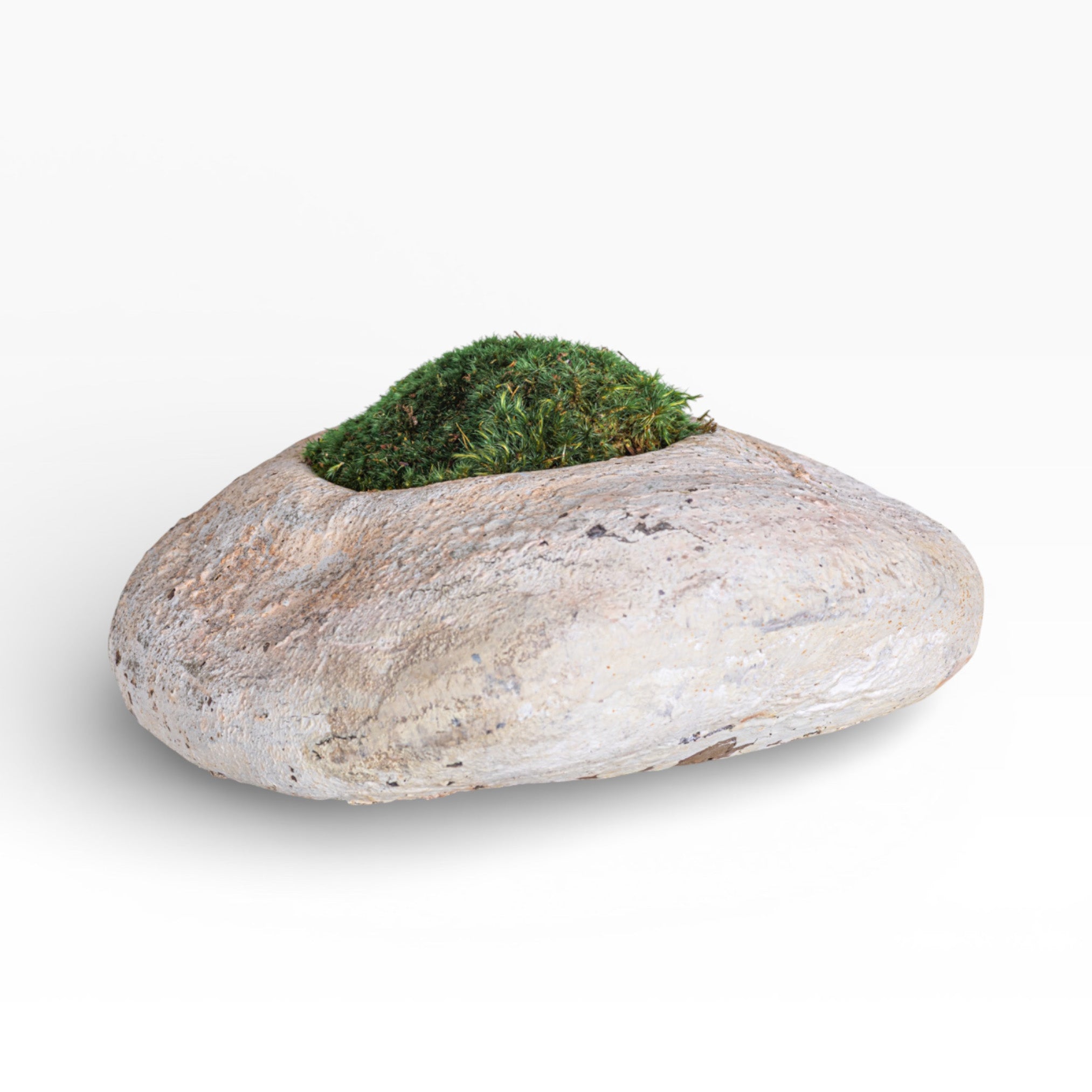 10" Skye Pot with Mood Moss AR1897