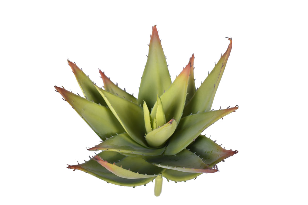9.5" Aloe Pick- UV Protected   AV1033UV