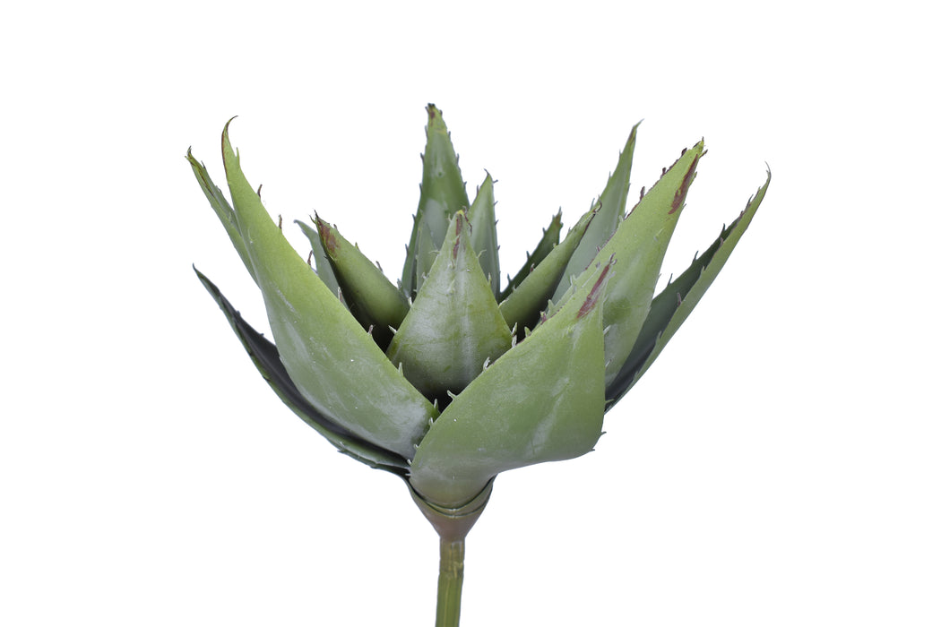 9.5" Aloe Pick- UV Protected   AV1034UV
