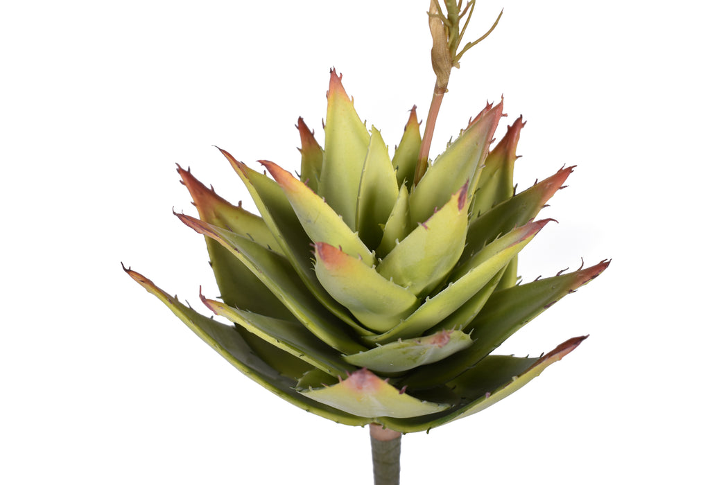 18" Aloe with Flower Pick- UV Protected   AV1035