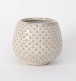 Ainsley Pot    CN1490