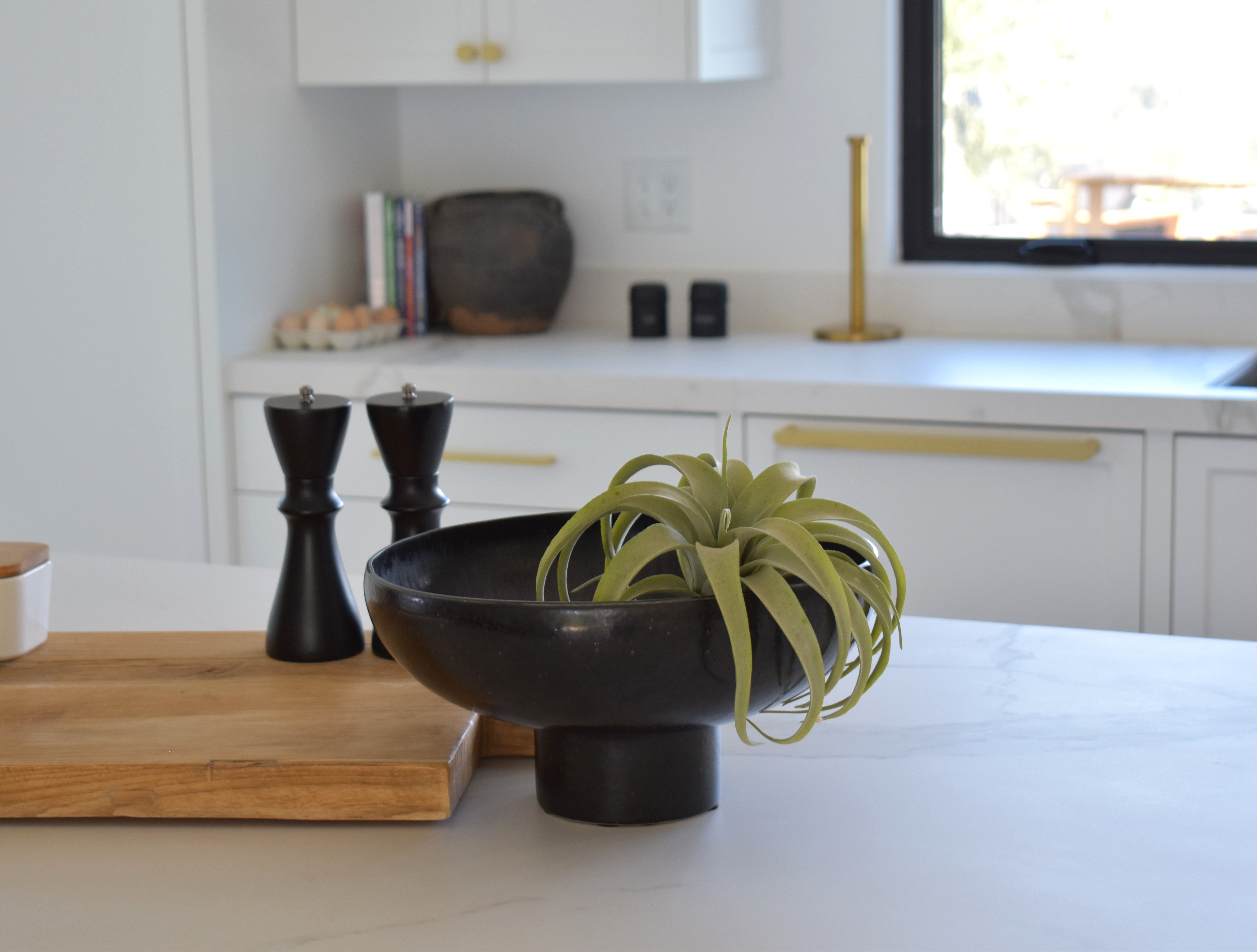 10" UV Airplant     AP1011UV