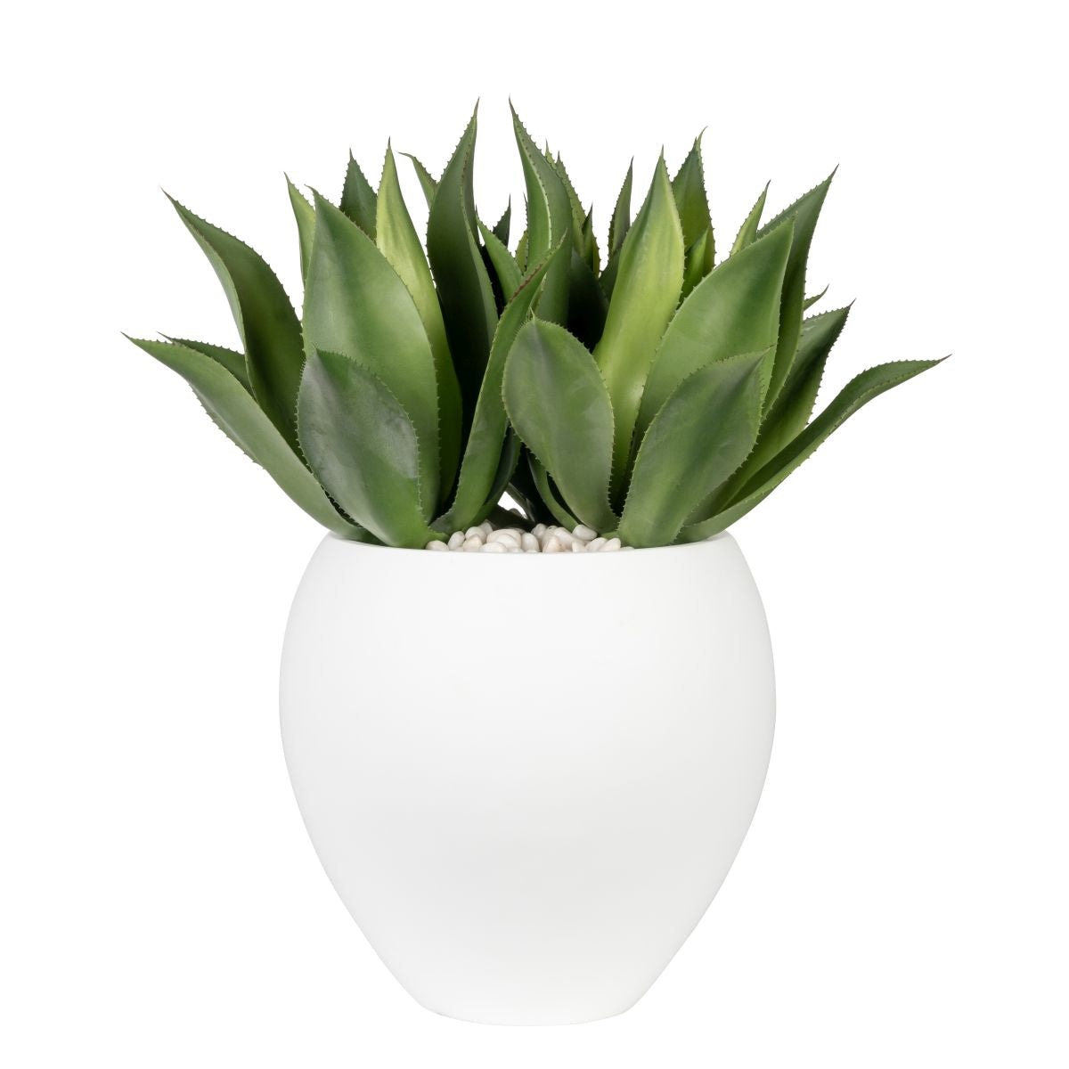 17" White Rotondo Planter with UV Protected Aloes   AR1844UV