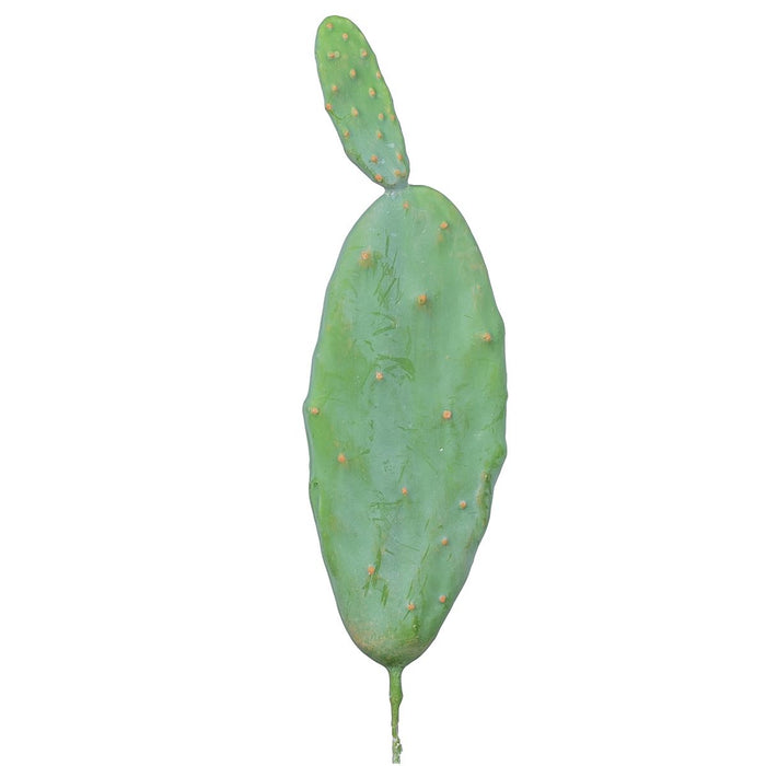 16” Pear Cactus Stem   CC1017