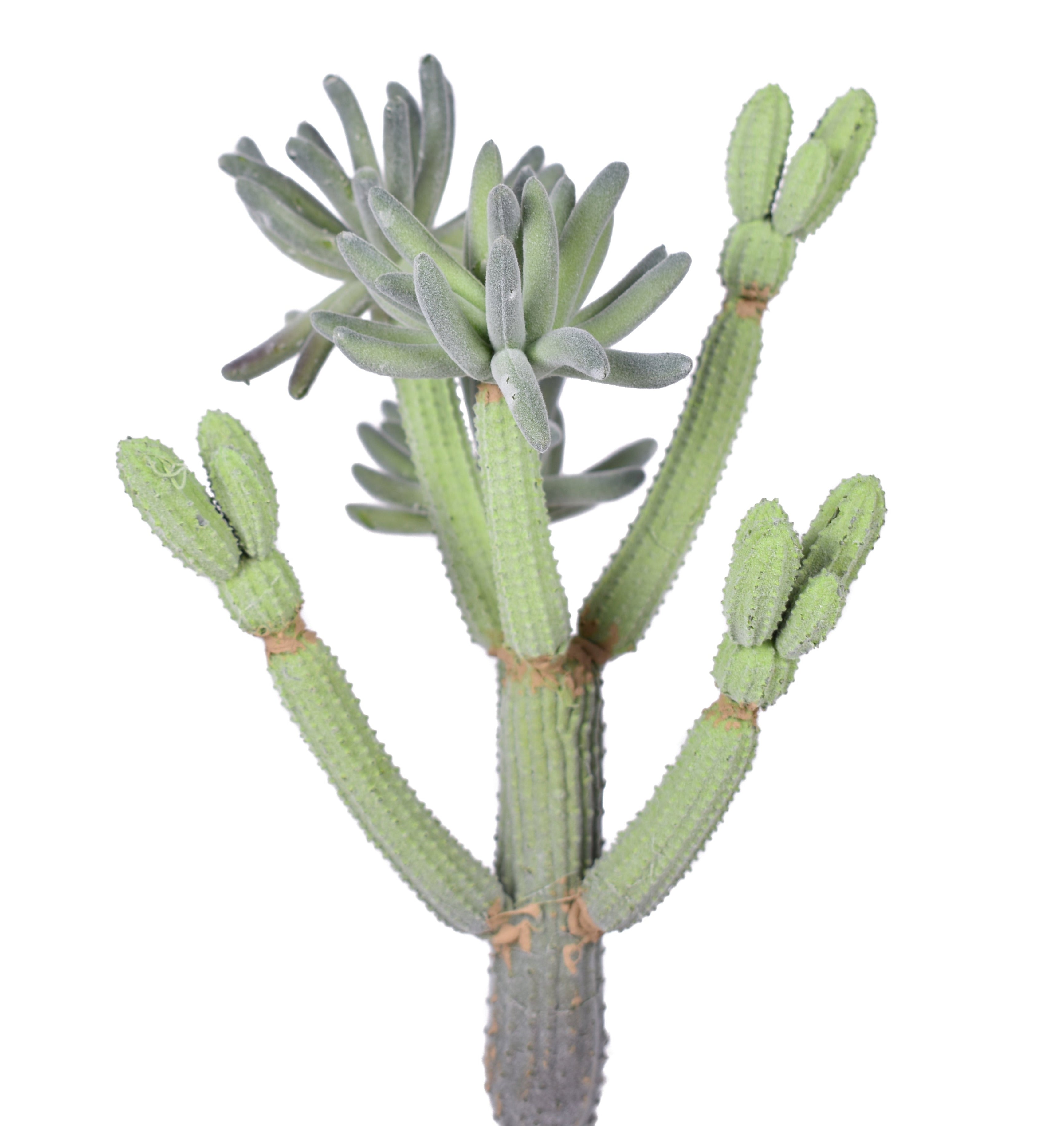 11.5" Flocked Multi Head Cactus Pick- UV Protected   CC1027UV