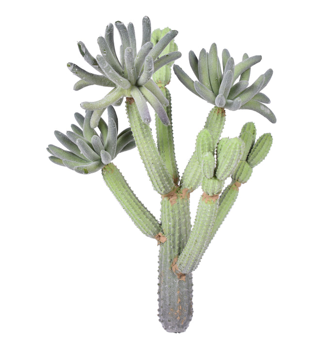 11.5" Flocked Multi Head Cactus Pick- UV Protected   CC1027UV