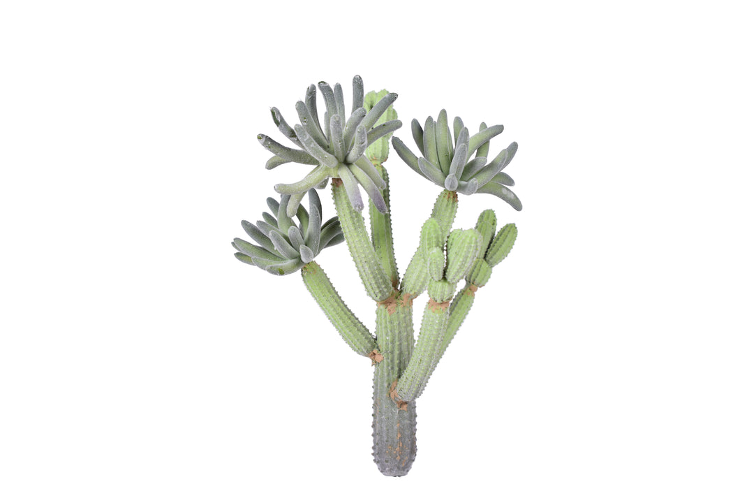 11.5" Flocked Multi Head Cactus Pick- UV Protected   CC1027UV