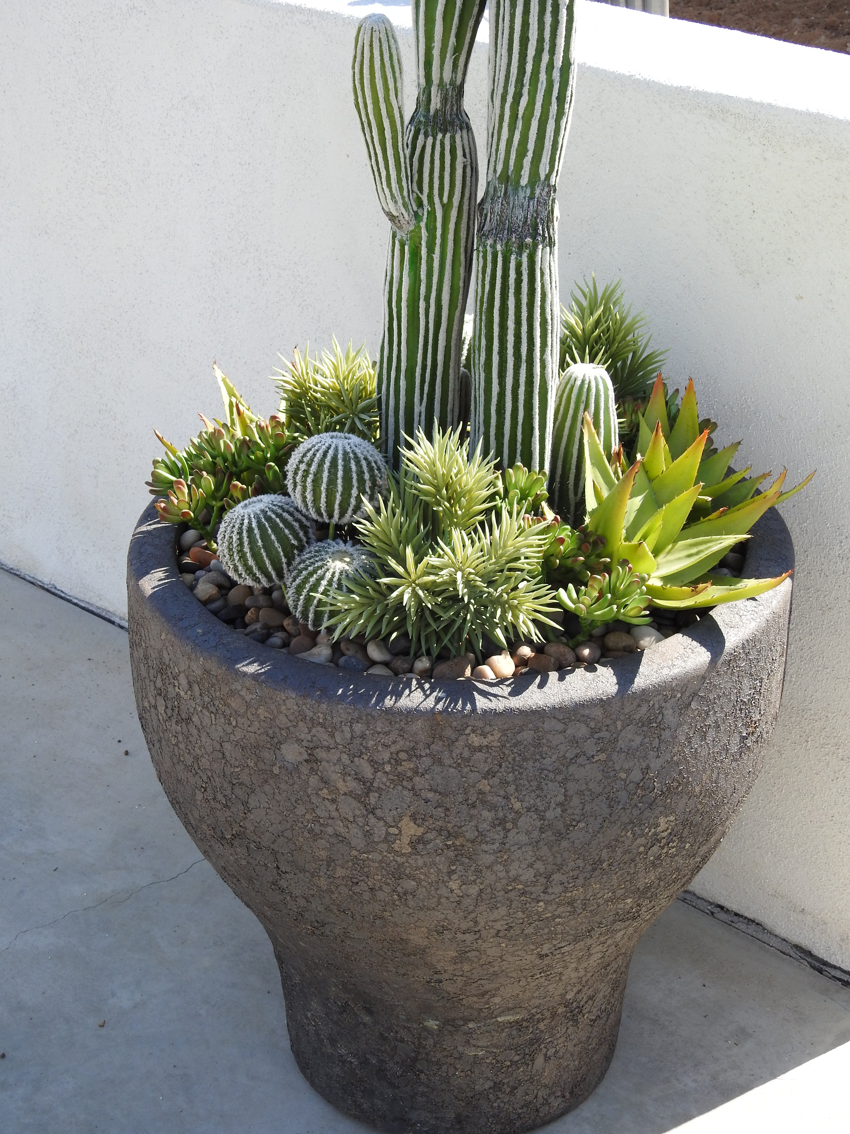 Boris Planter   CN1260