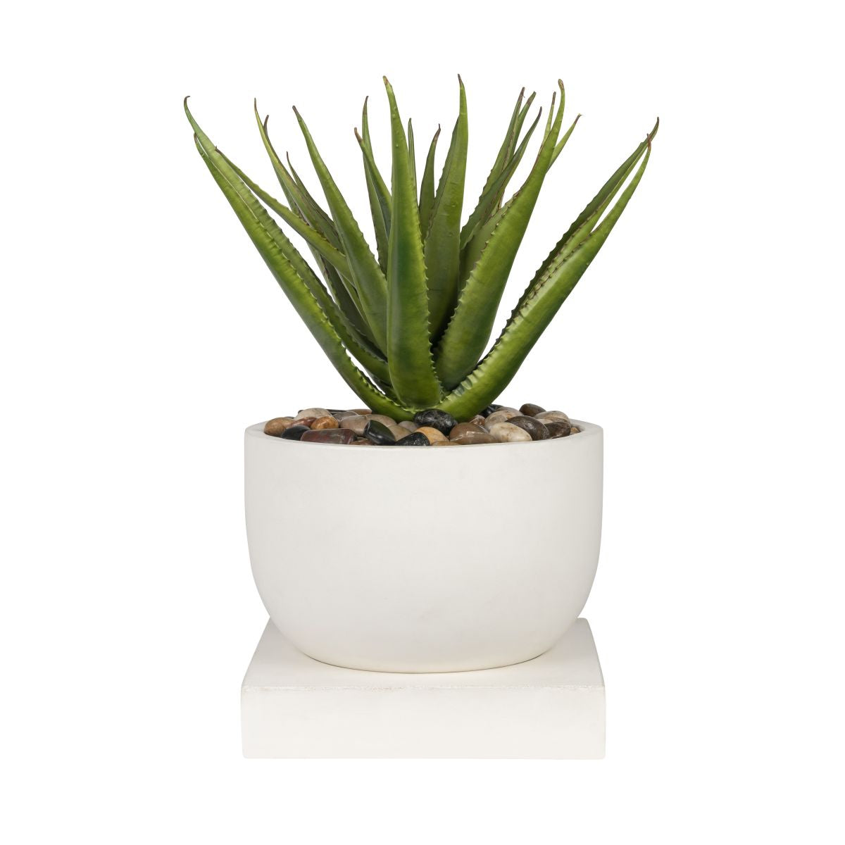 16" Palmaria Planter with Aloe Arrangement   AR1859