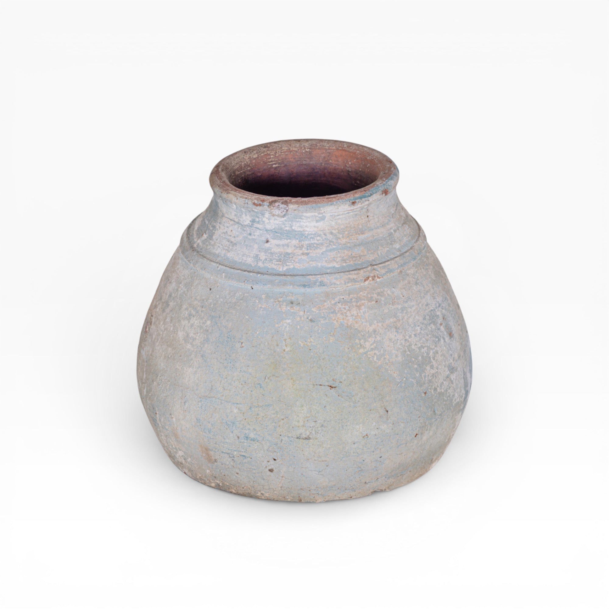 Aster Pot Collection   CN1410