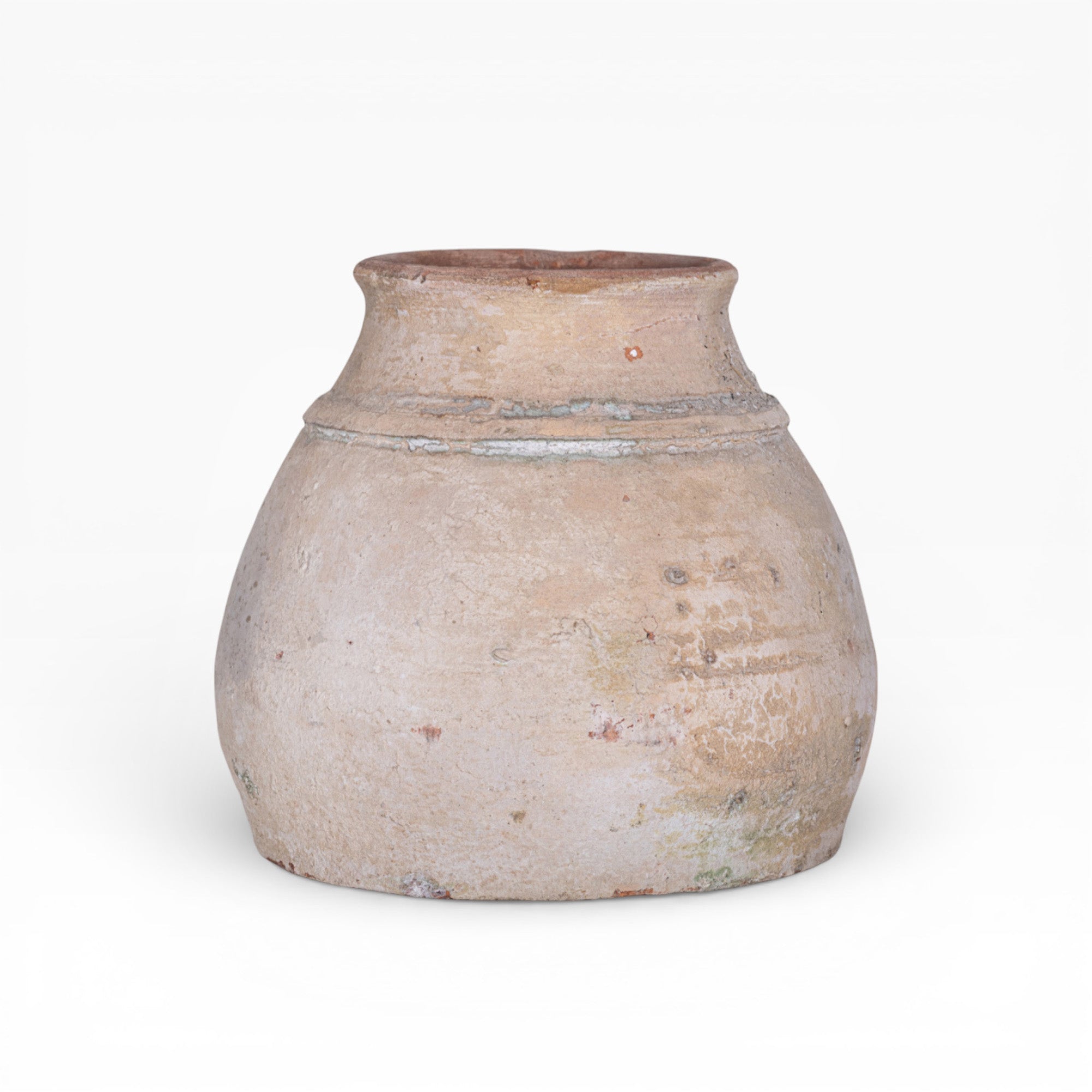 Aster Pot Collection   CN1410