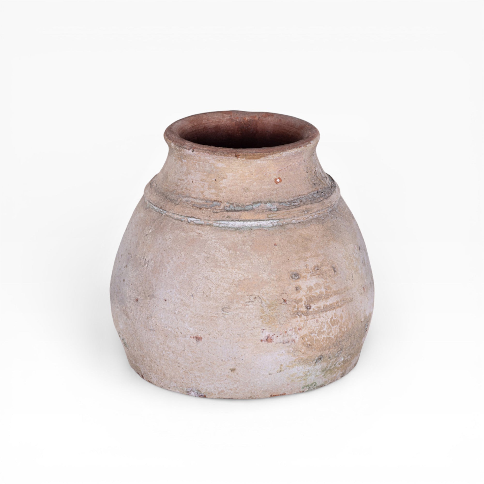 Aster Pot Collection   CN1410