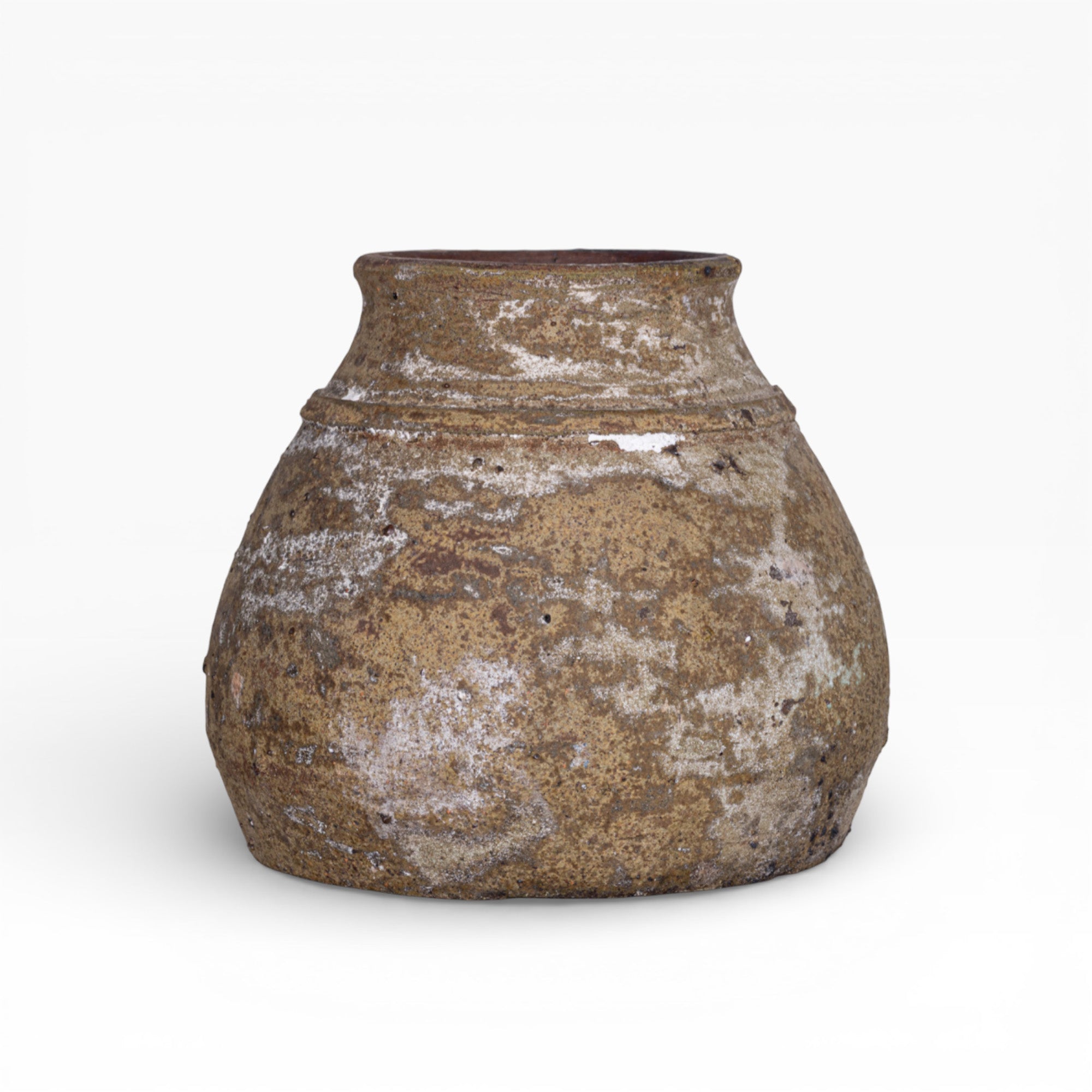 Aster Pot Collection   CN1410