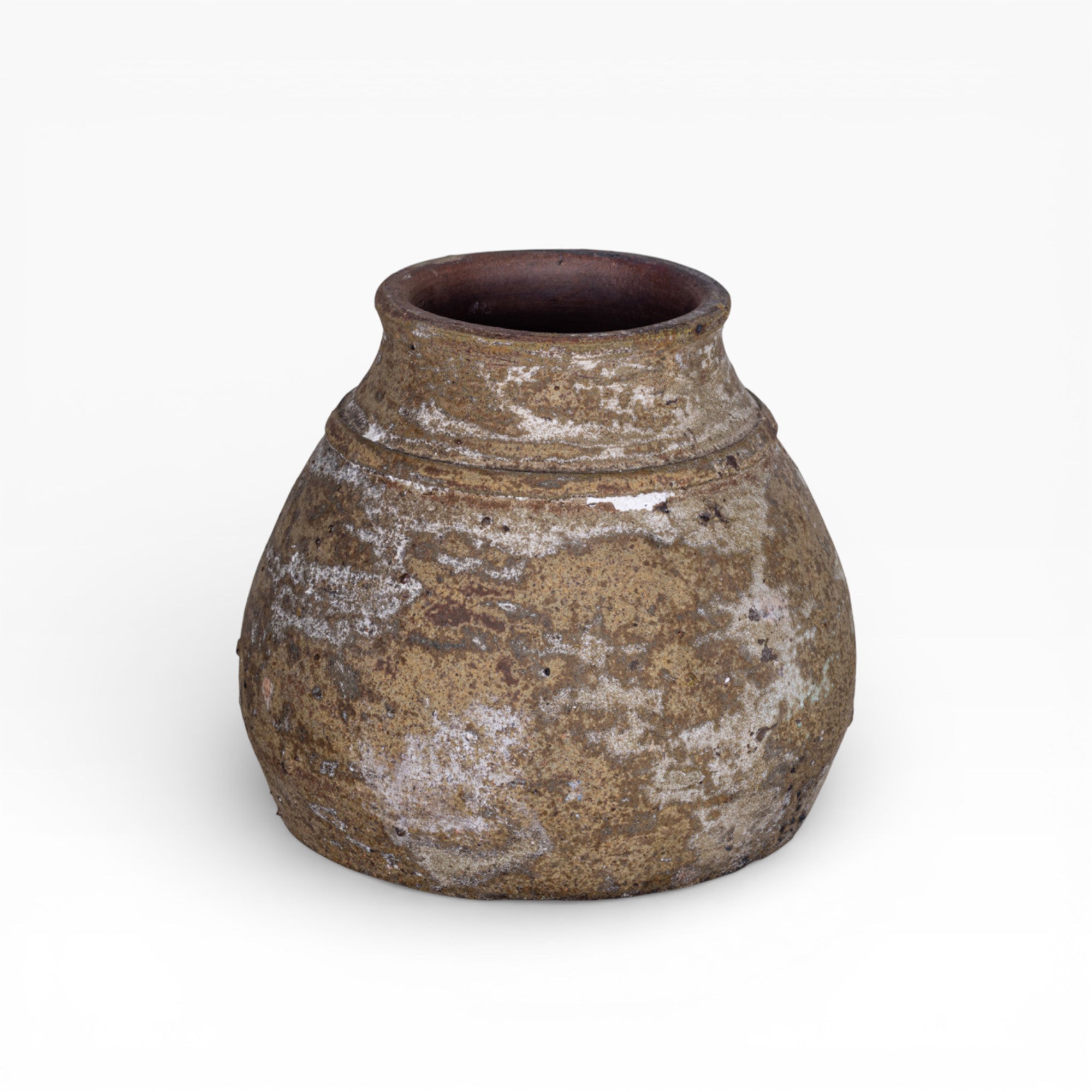 Aster Pot Collection   CN1410