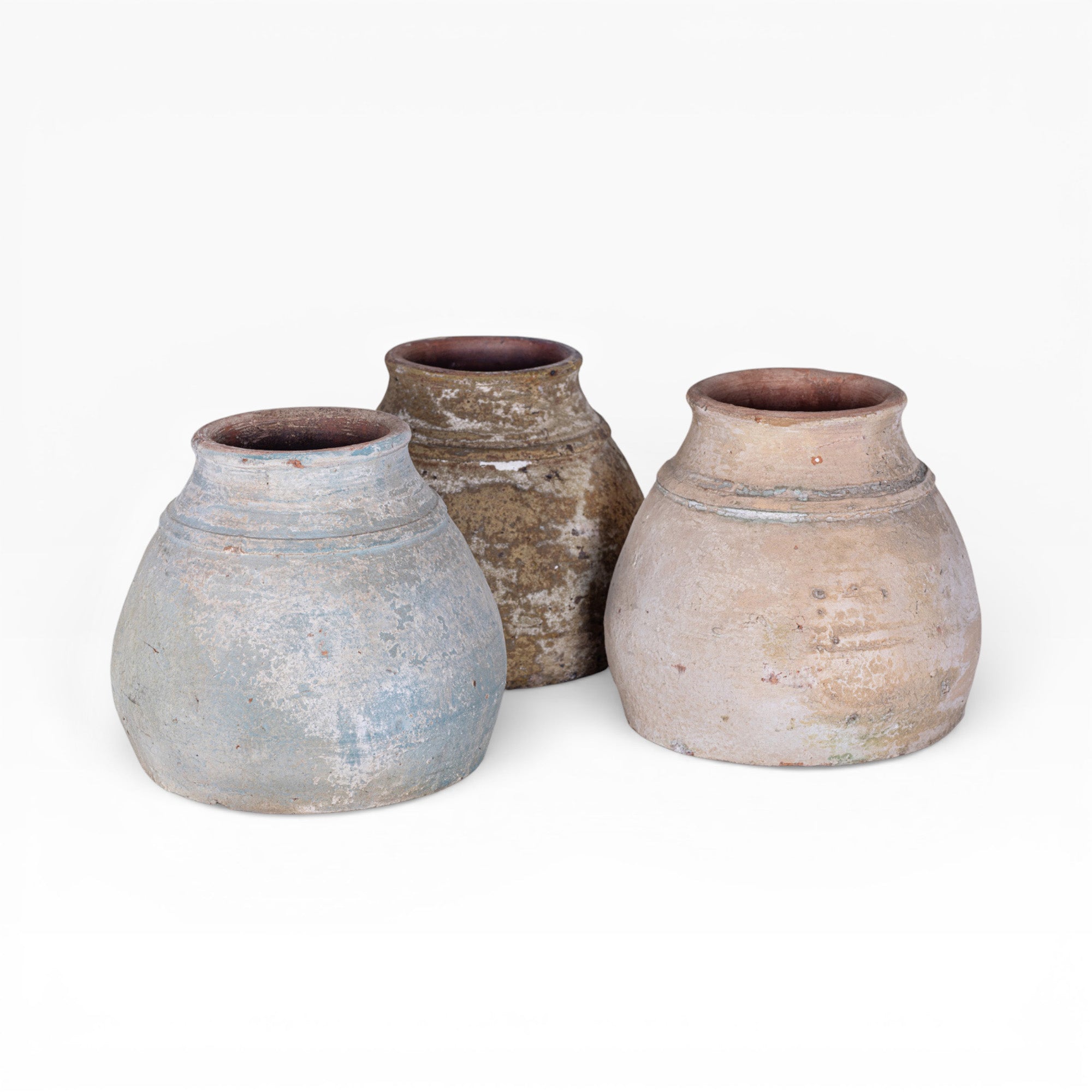 Aster Pot Collection   CN1410