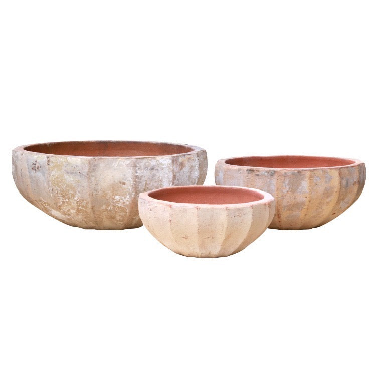 Ansel Bowl Collection CN1445