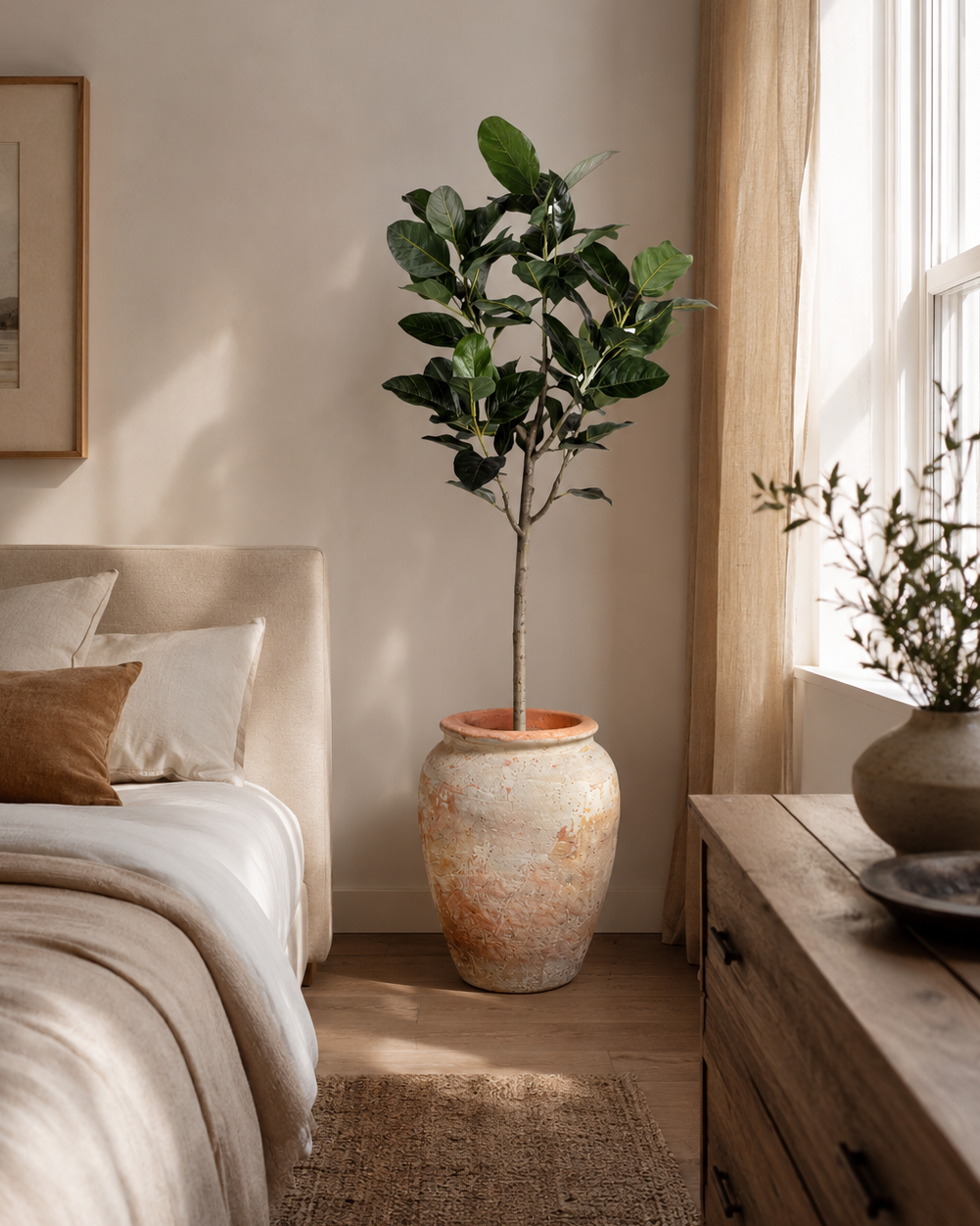 6' Audrey Ficus in Matteo Planter