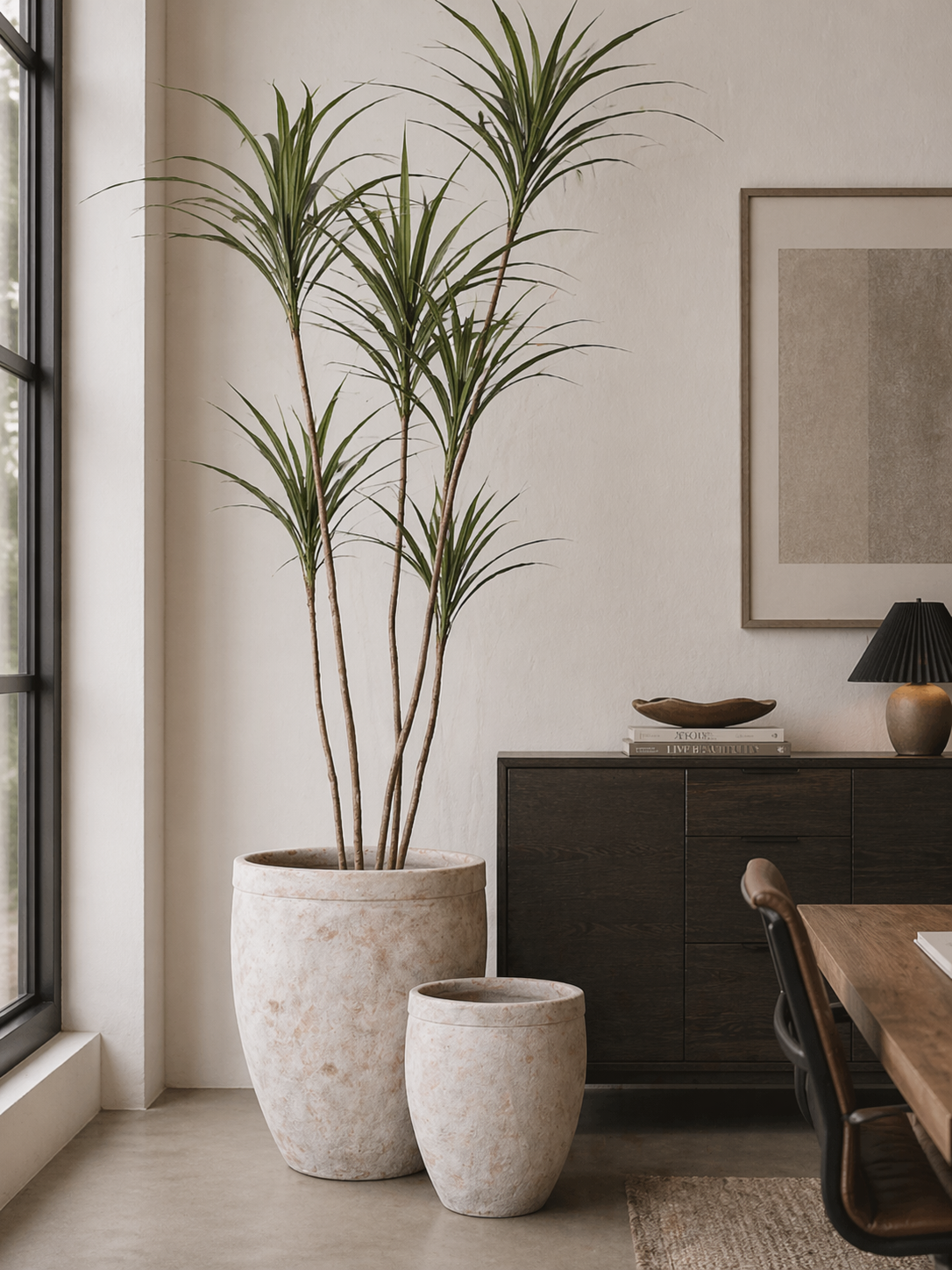 6' Dracaena Tree in Shiloh Planter PC1430CN1365LG