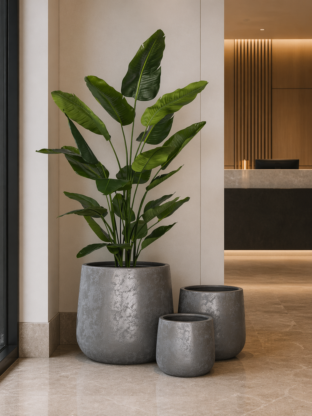 6' Traveller Palm in Gerrard Planter PC1424CN1420LG