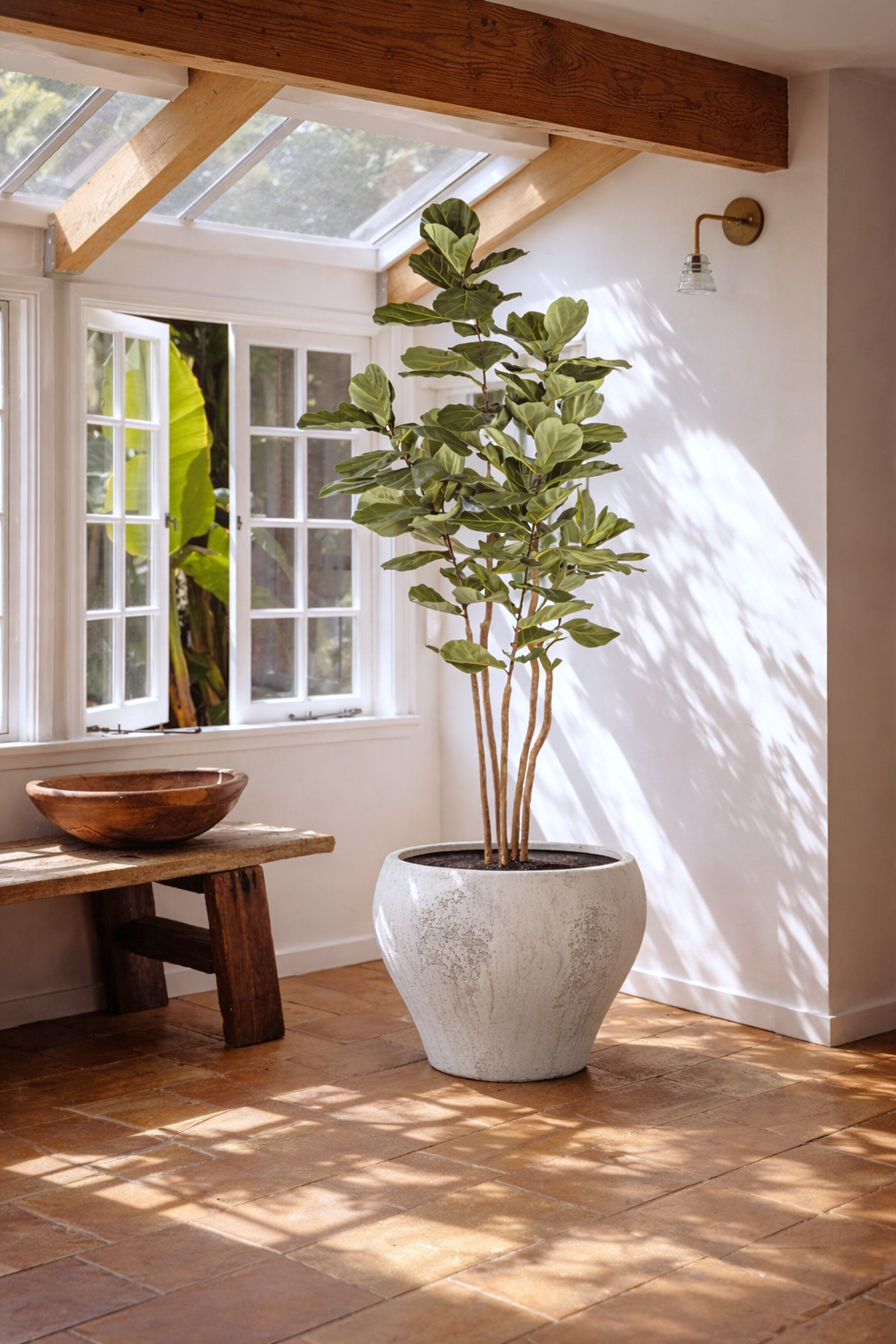 8' Fiddle Leaf Fig Tree   FP1409