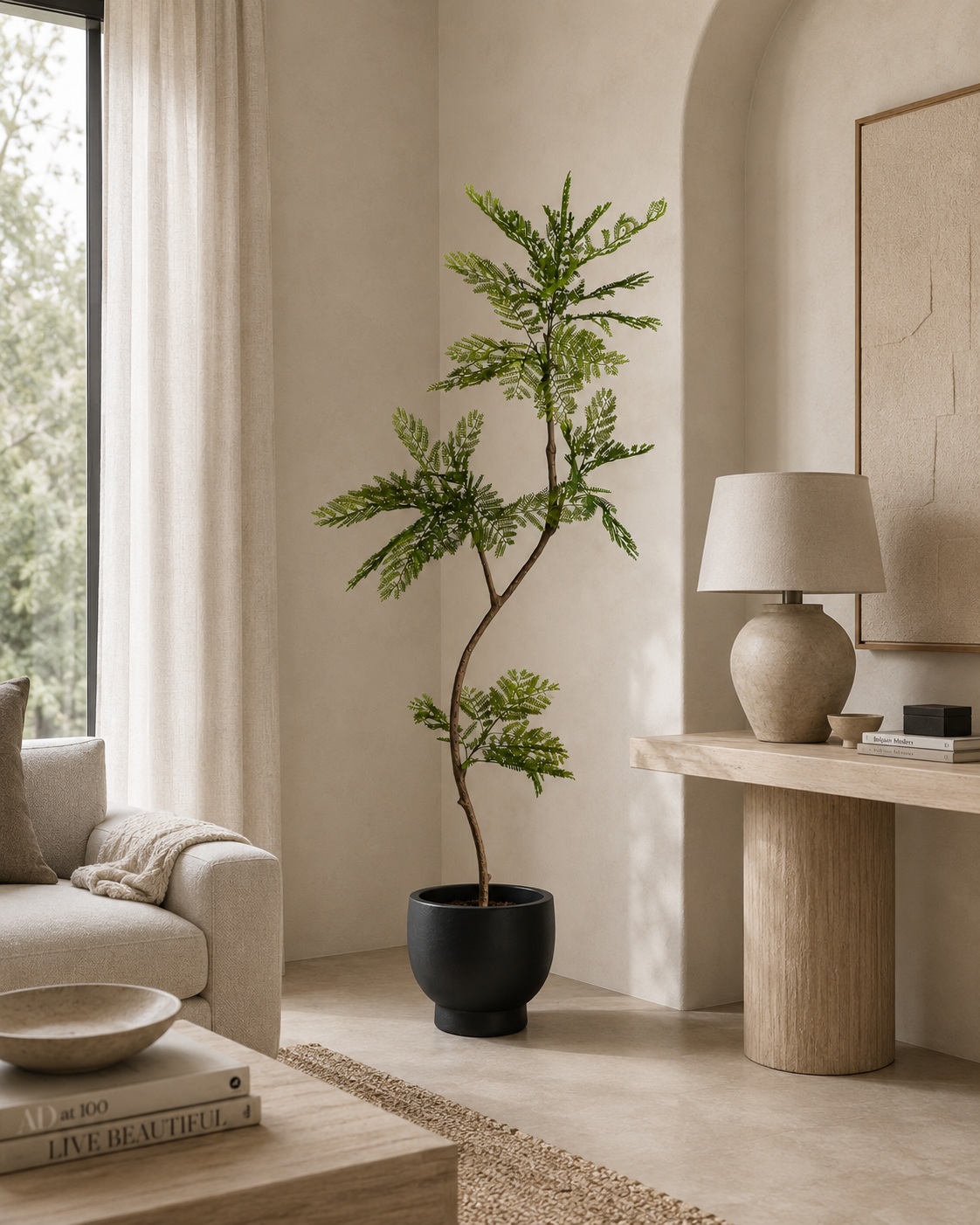 7.5' Mimosa Tree in Black Mack Compote Planter with Spanish Moss