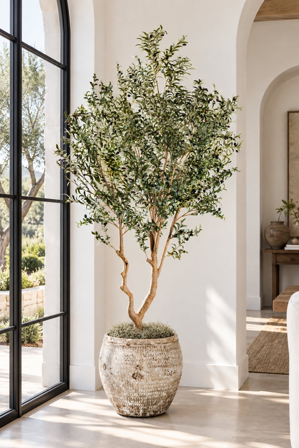 8.5' Olive Tree in Sable Planter | PC1420CN1436