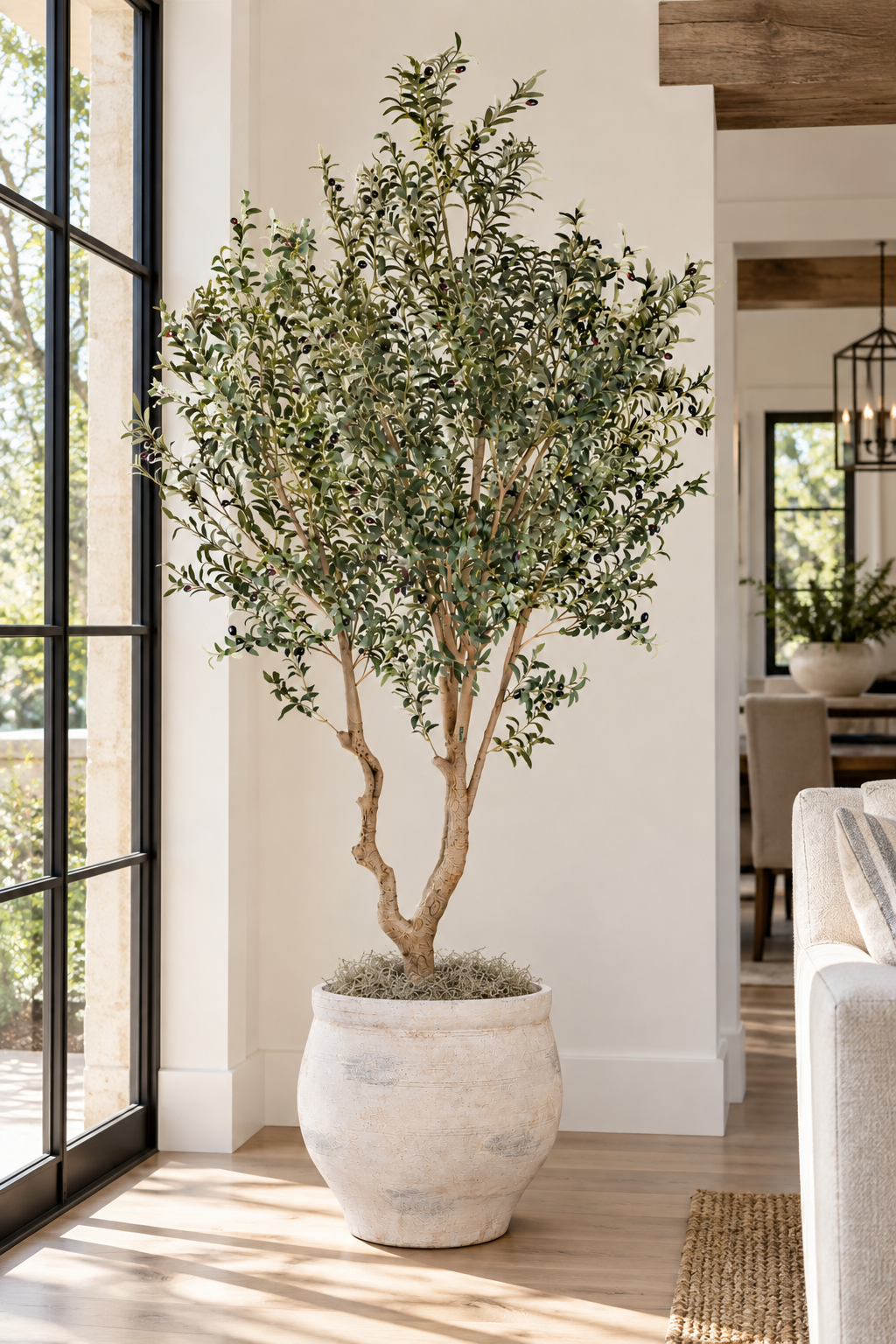 8.5' Olive Tree in Mason Planter | PC1504CN1480LG