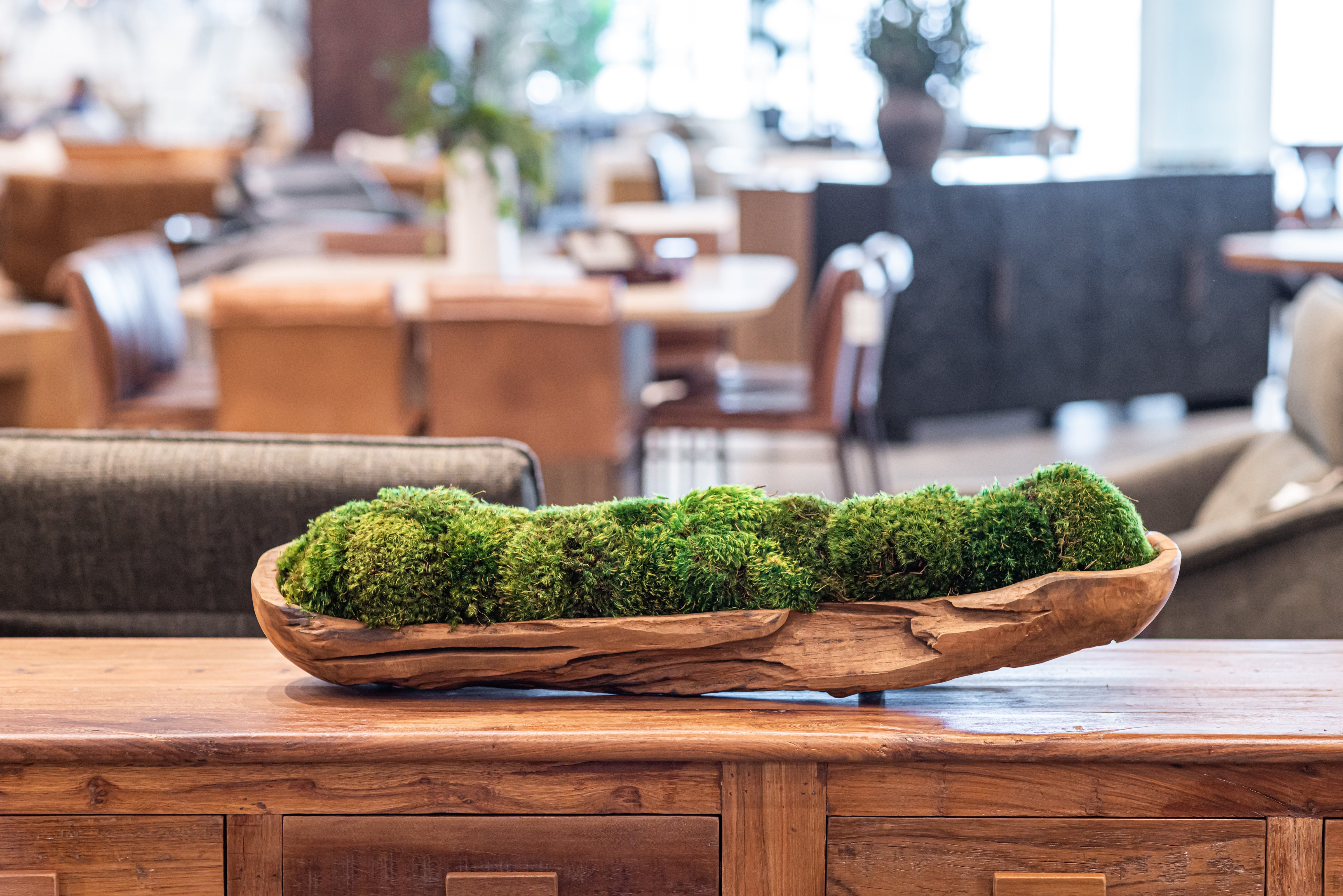 51.5" Kapal Wood Trough with Mood Moss Arrangement   AR1617