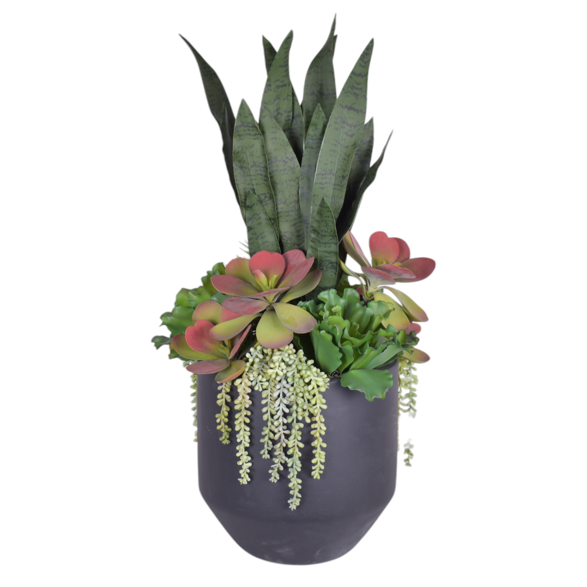 12" Milo Planter with Succulent Arrangement   AR1081