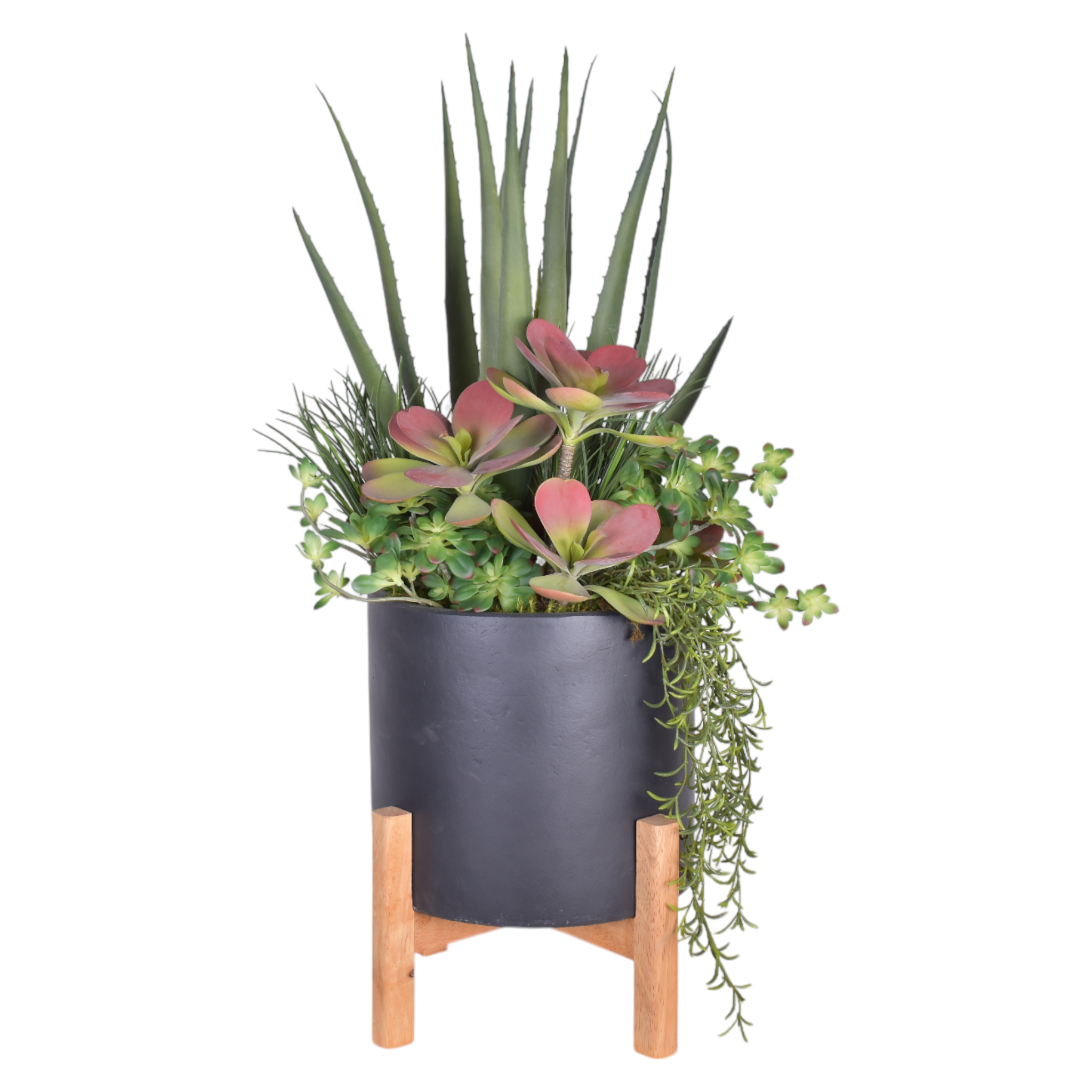 13" Korynn Planter with Aloe Arrangement   AR1419