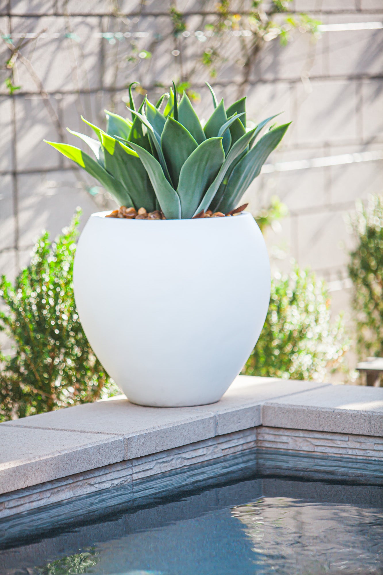 Rotondo Planter Collection-White    CN1256