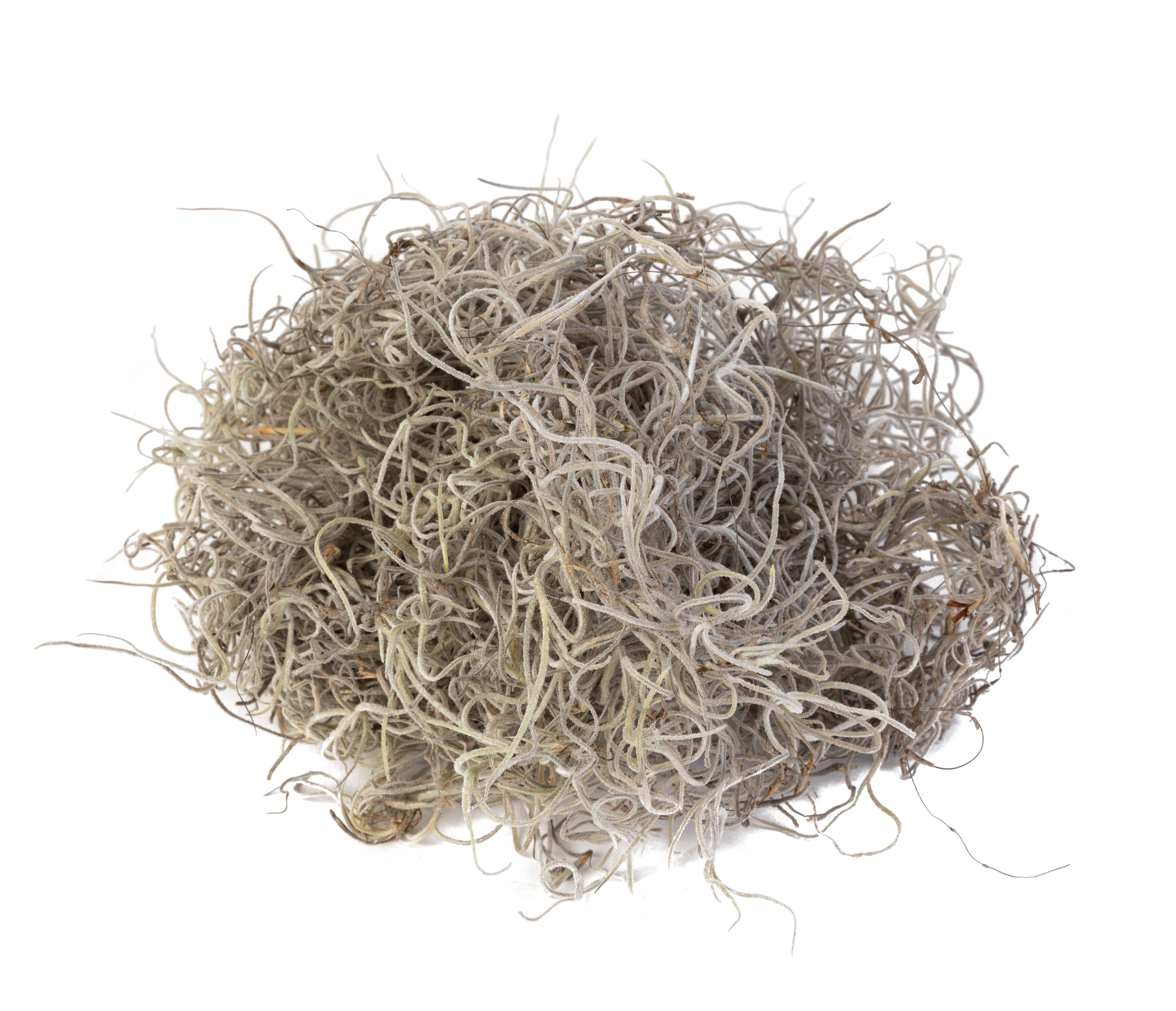 Spanish Moss 5lb Bag    FA1004