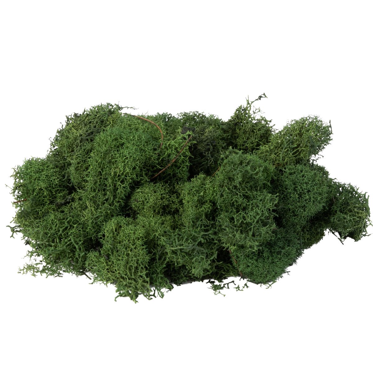 Reindeer Moss  3lb Bag   FA1005