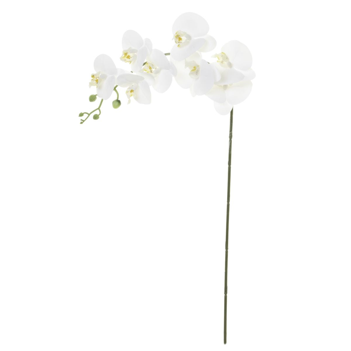 34.5" Real Touch Phalaenopsis- White   FL1020