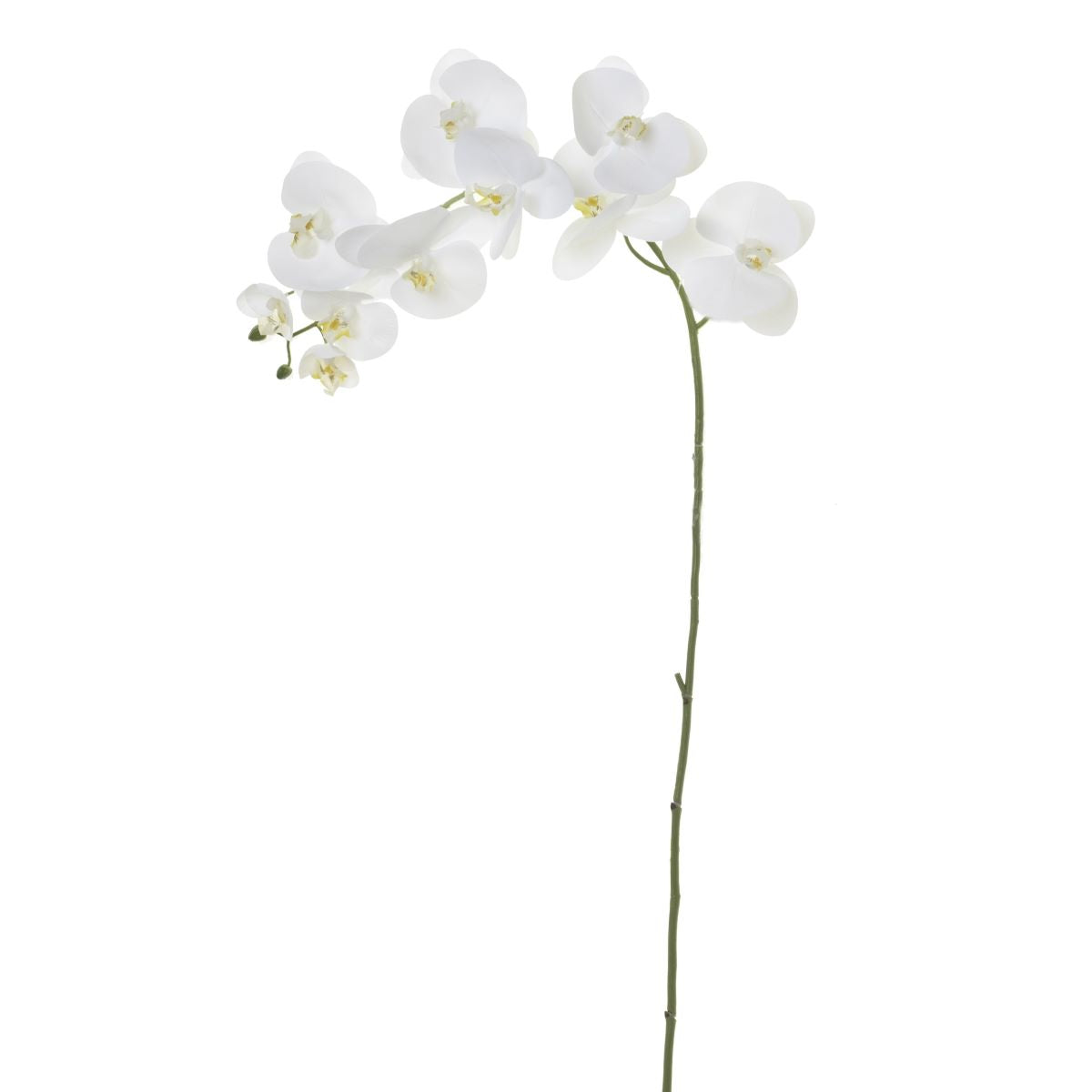 45” Phalaenopsis- White   FL1022